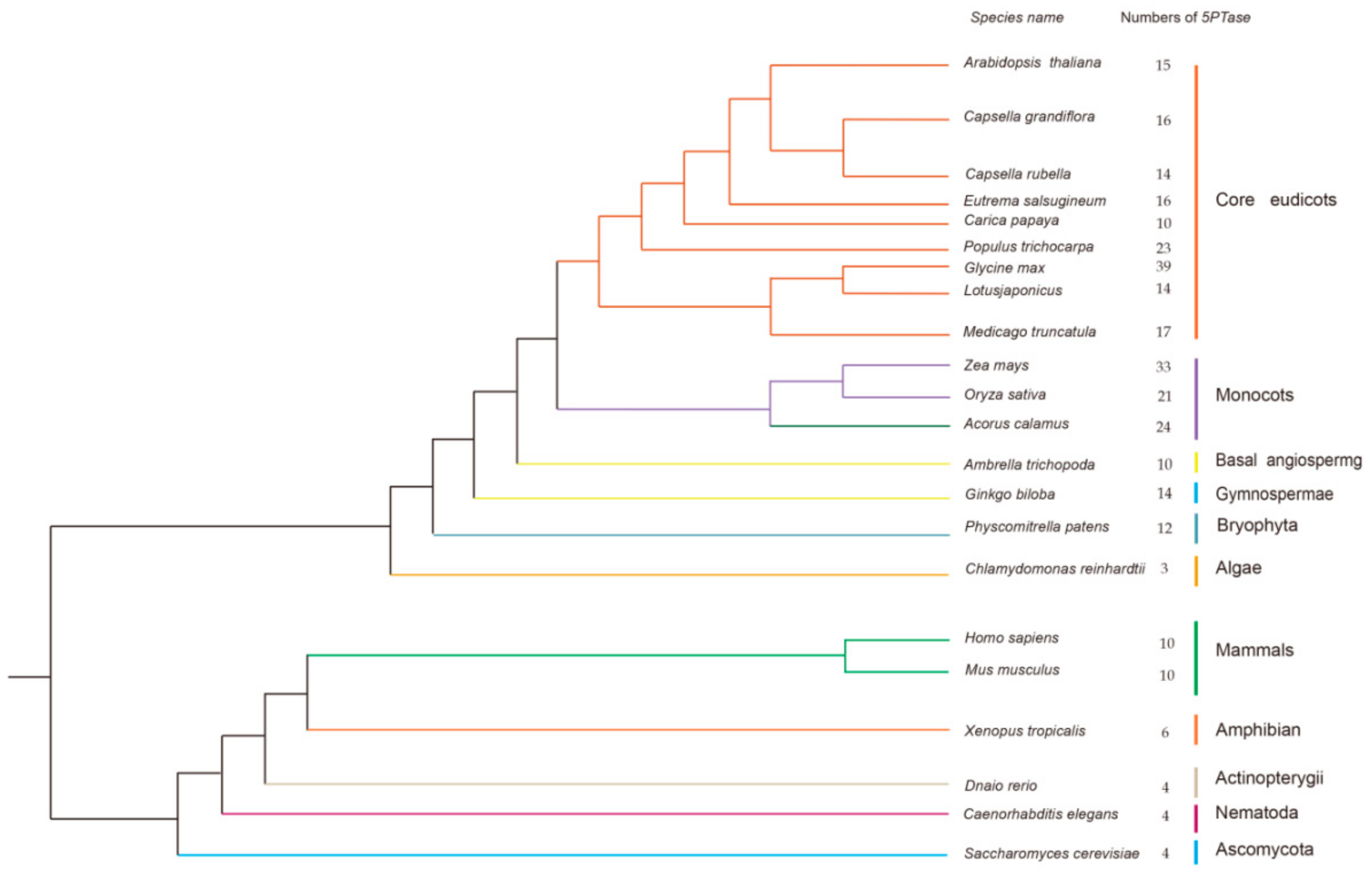 Genes 10 00393 g002 Genes 10 00393 g002