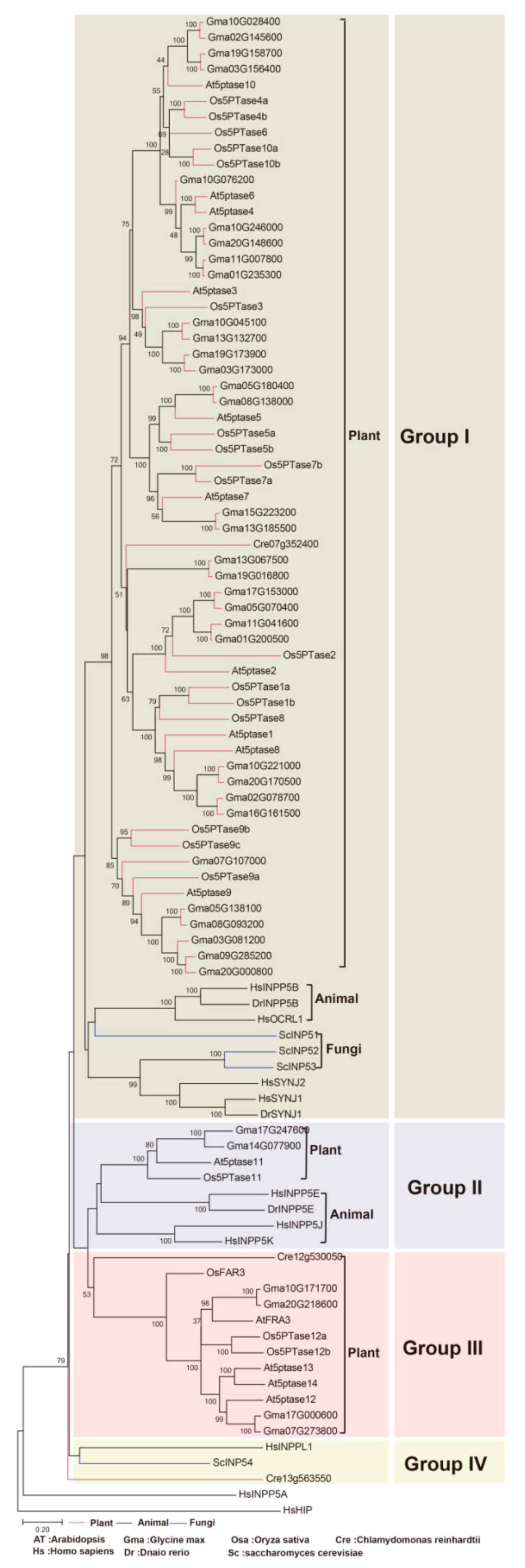Genes 10 00393 g003 Genes 10 00393 g003