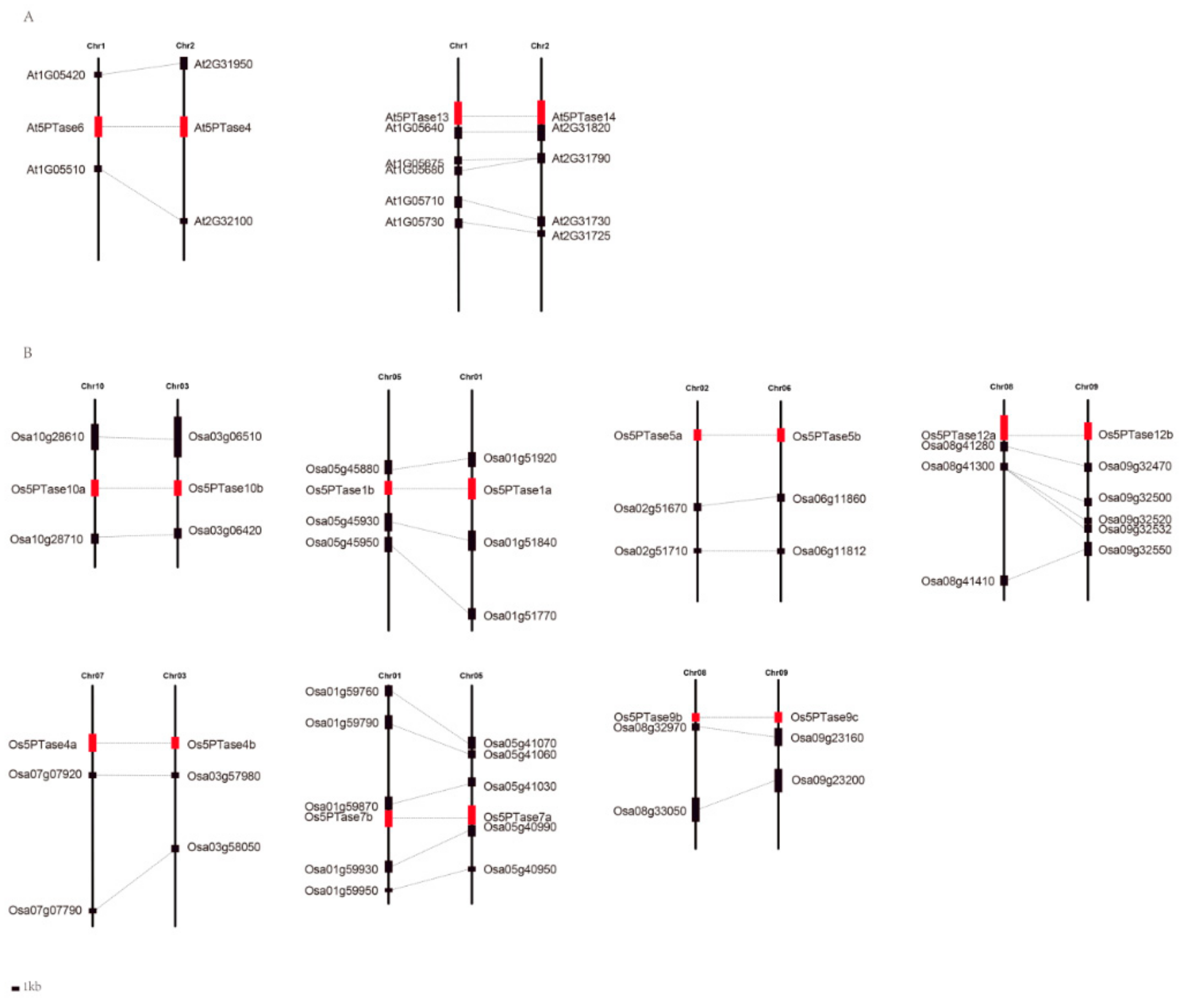 Genes 10 00393 g006 Genes 10 00393 g006