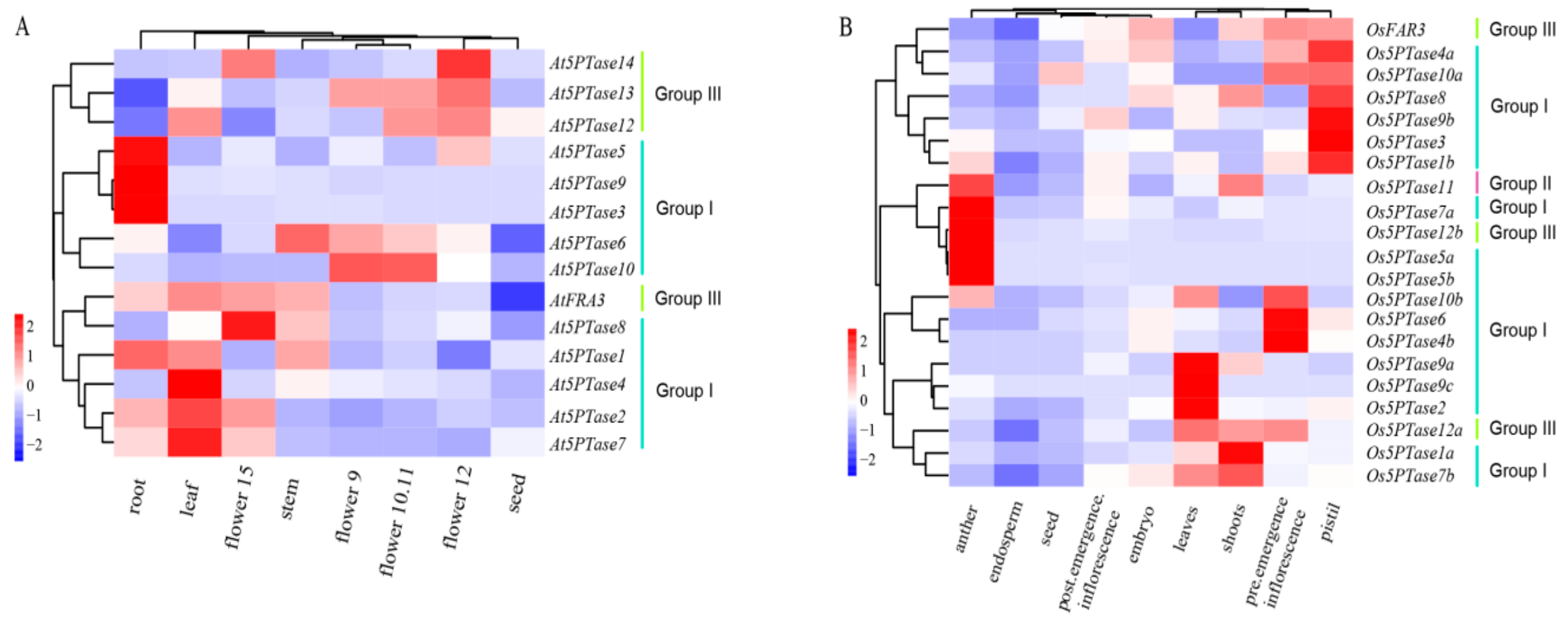 Genes 10 00393 g007 Genes 10 00393 g007