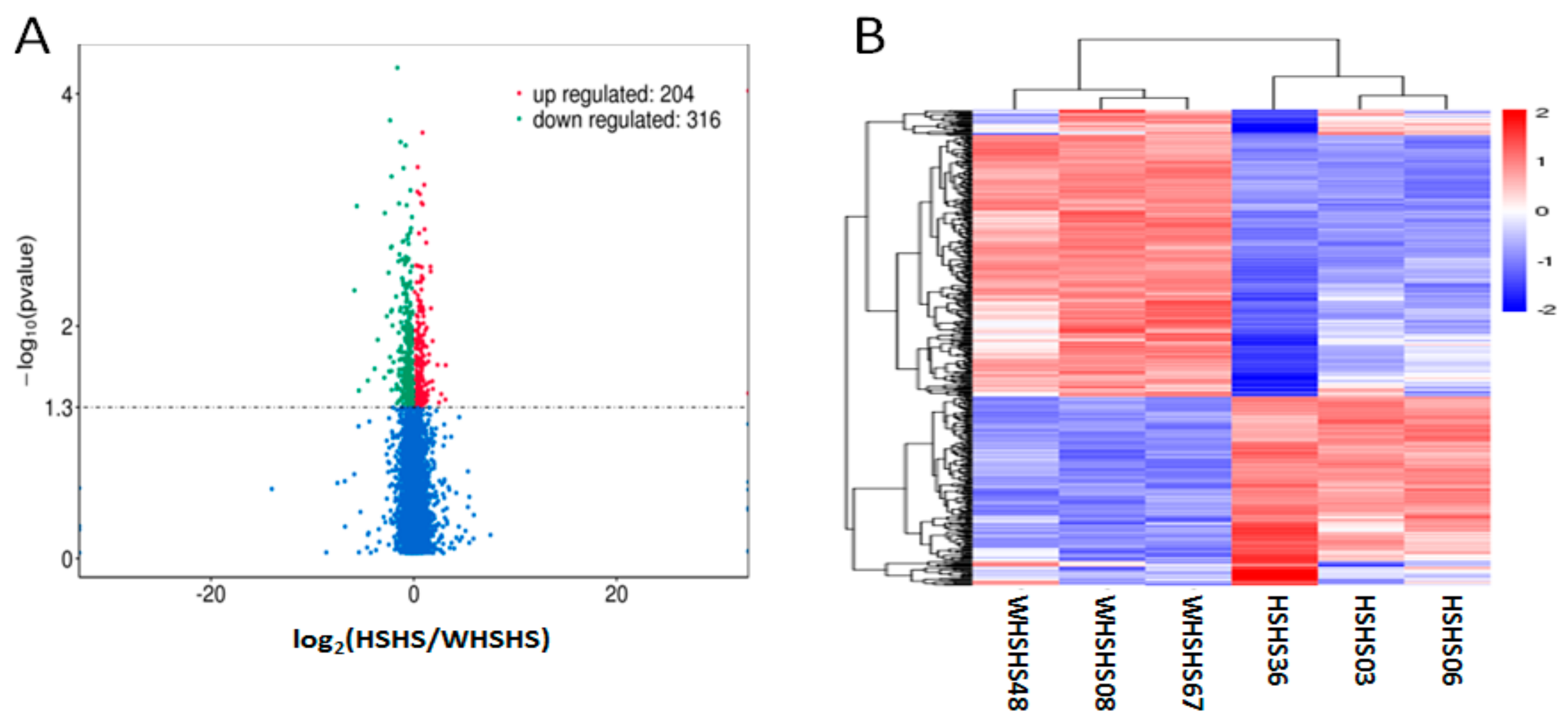 Genes 10 00395 g001 Genes 10 00395 g001