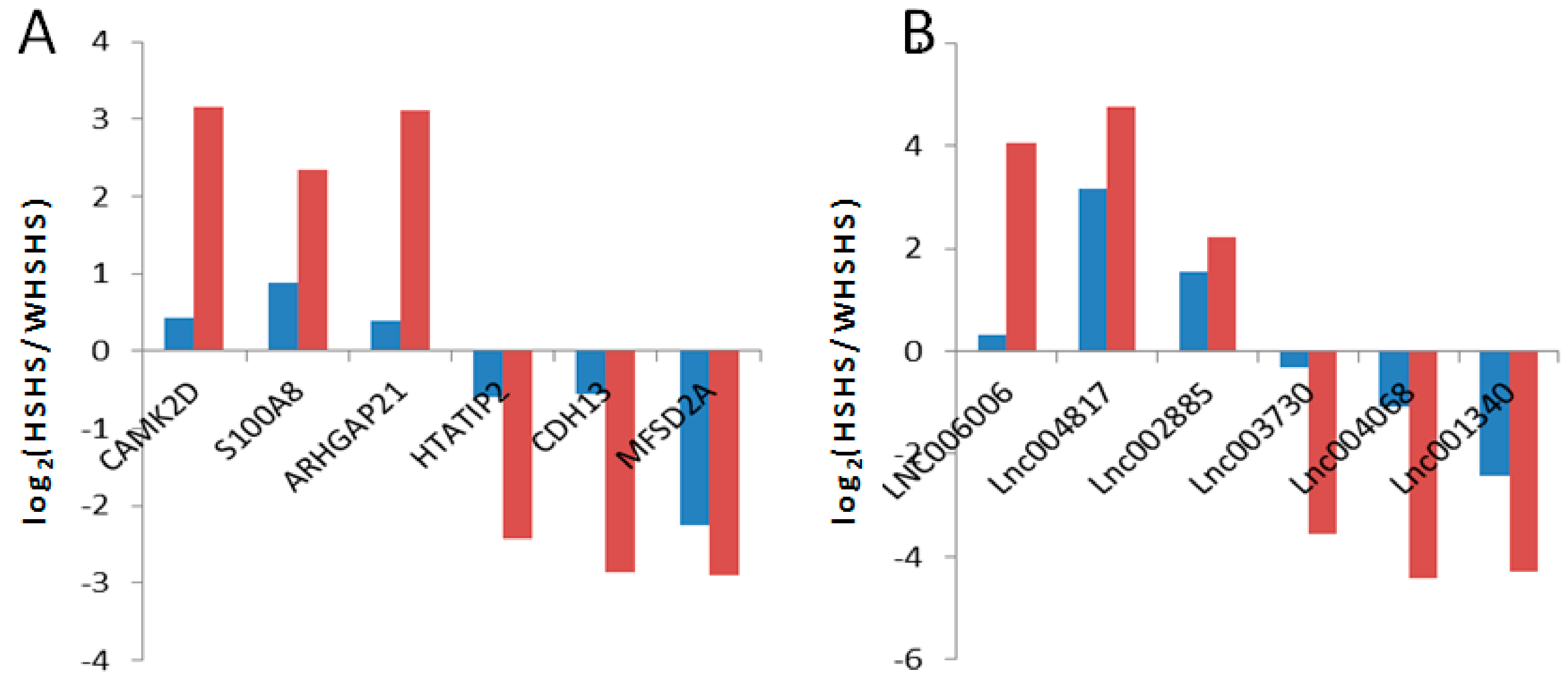 Genes 10 00395 g002 Genes 10 00395 g002