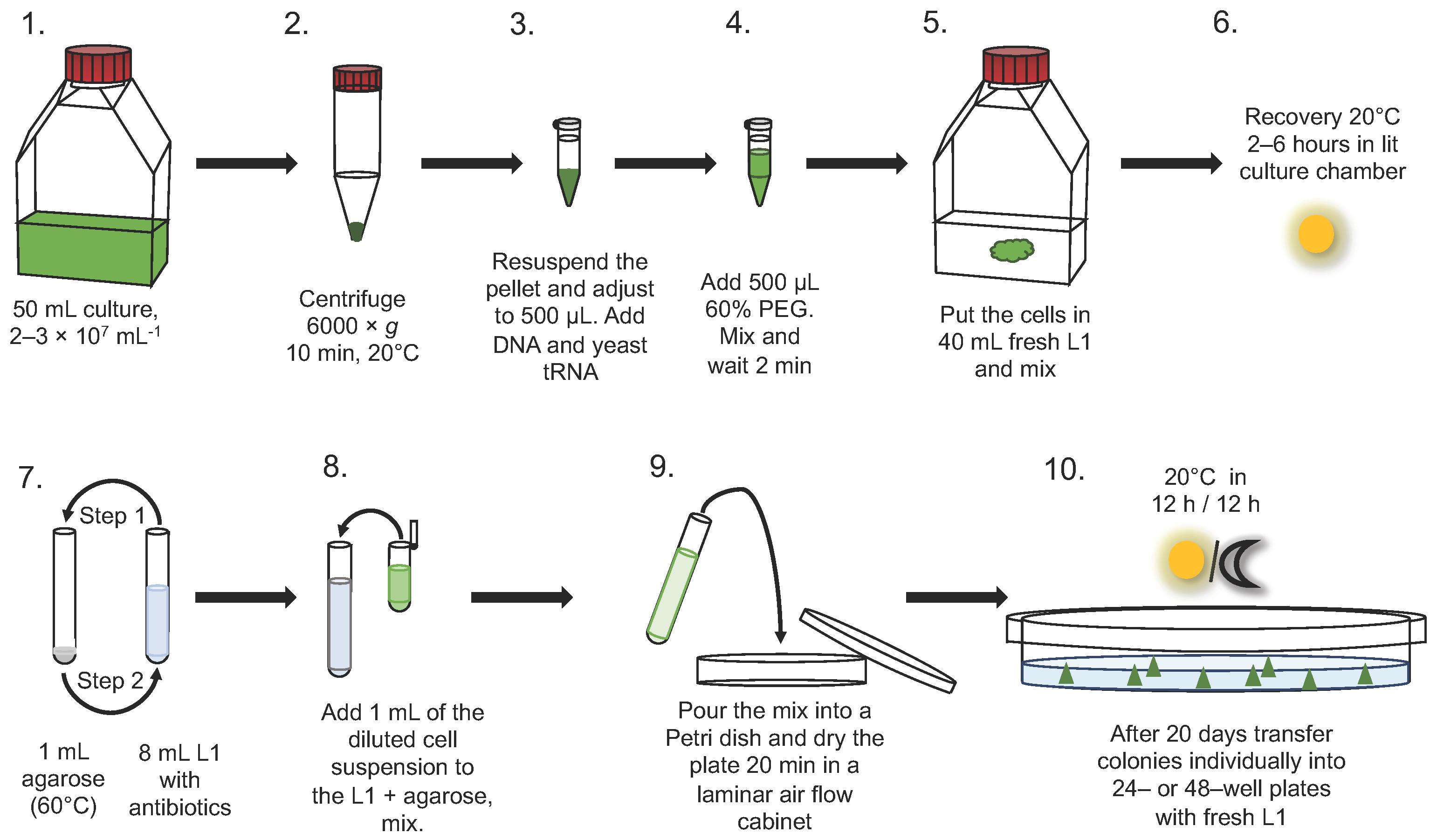Polyethylene glycol treatment Braimy