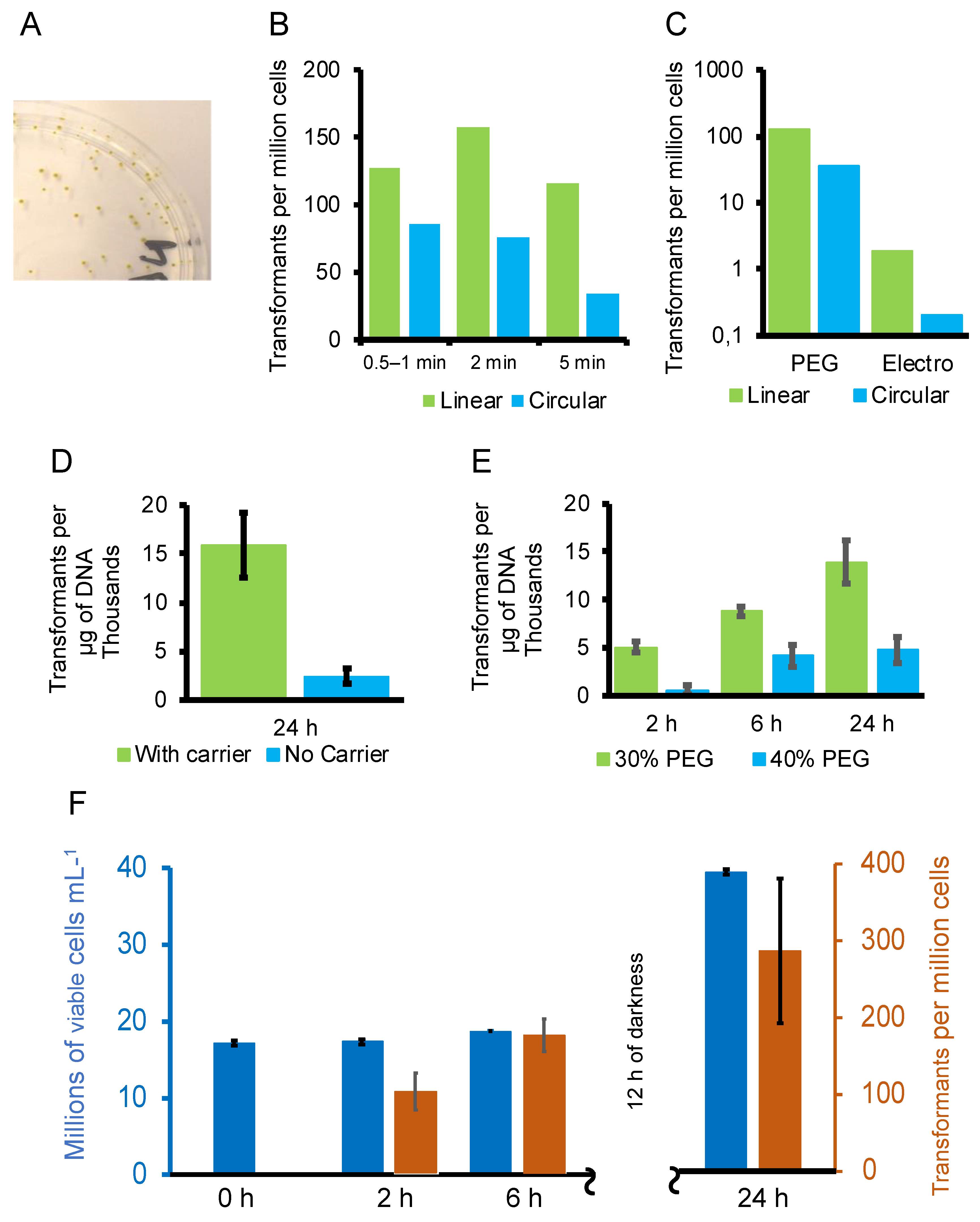 Genes 10 00399 g002 Genes 10 00399 g002