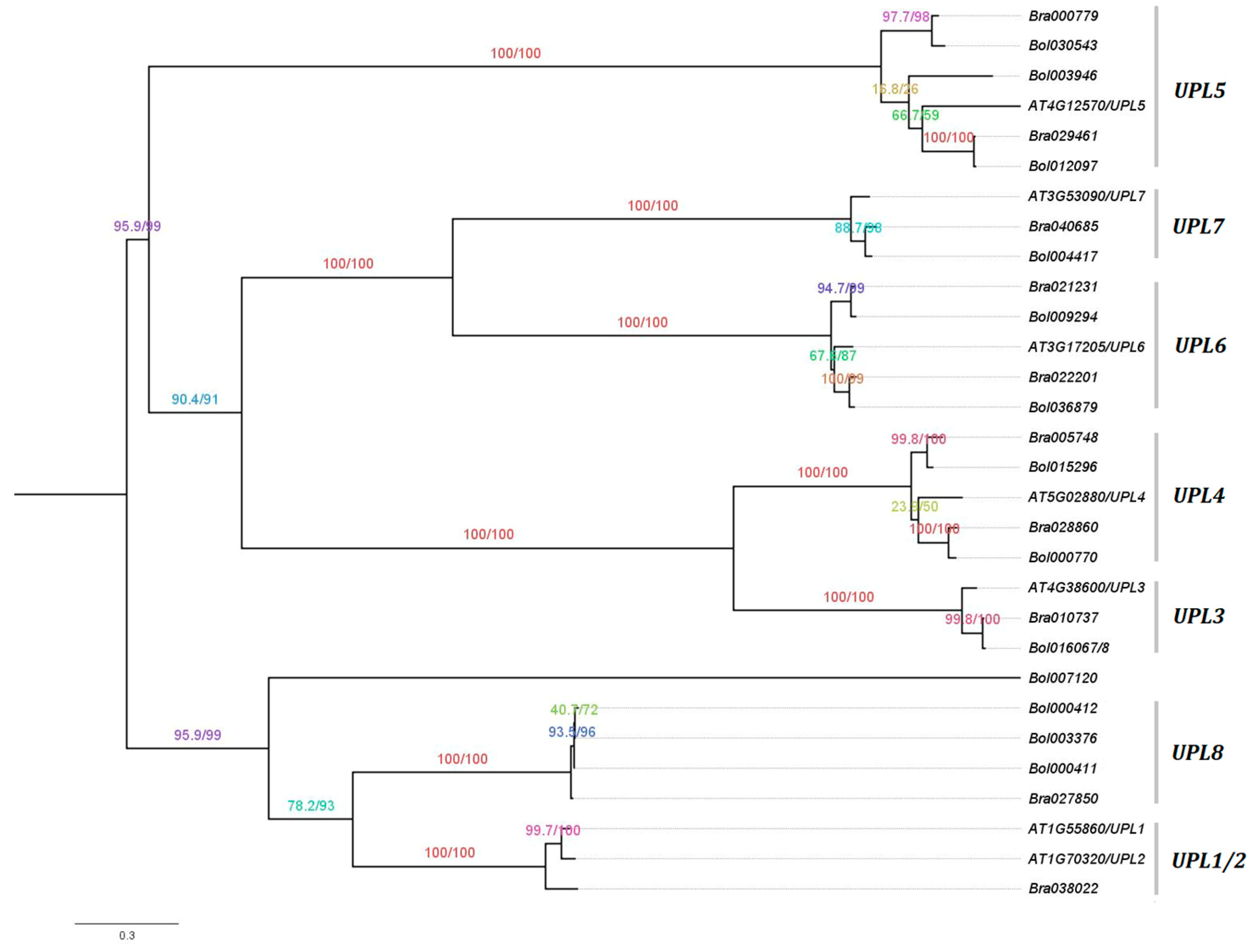 Genes 10 00400 g001 Genes 10 00400 g001