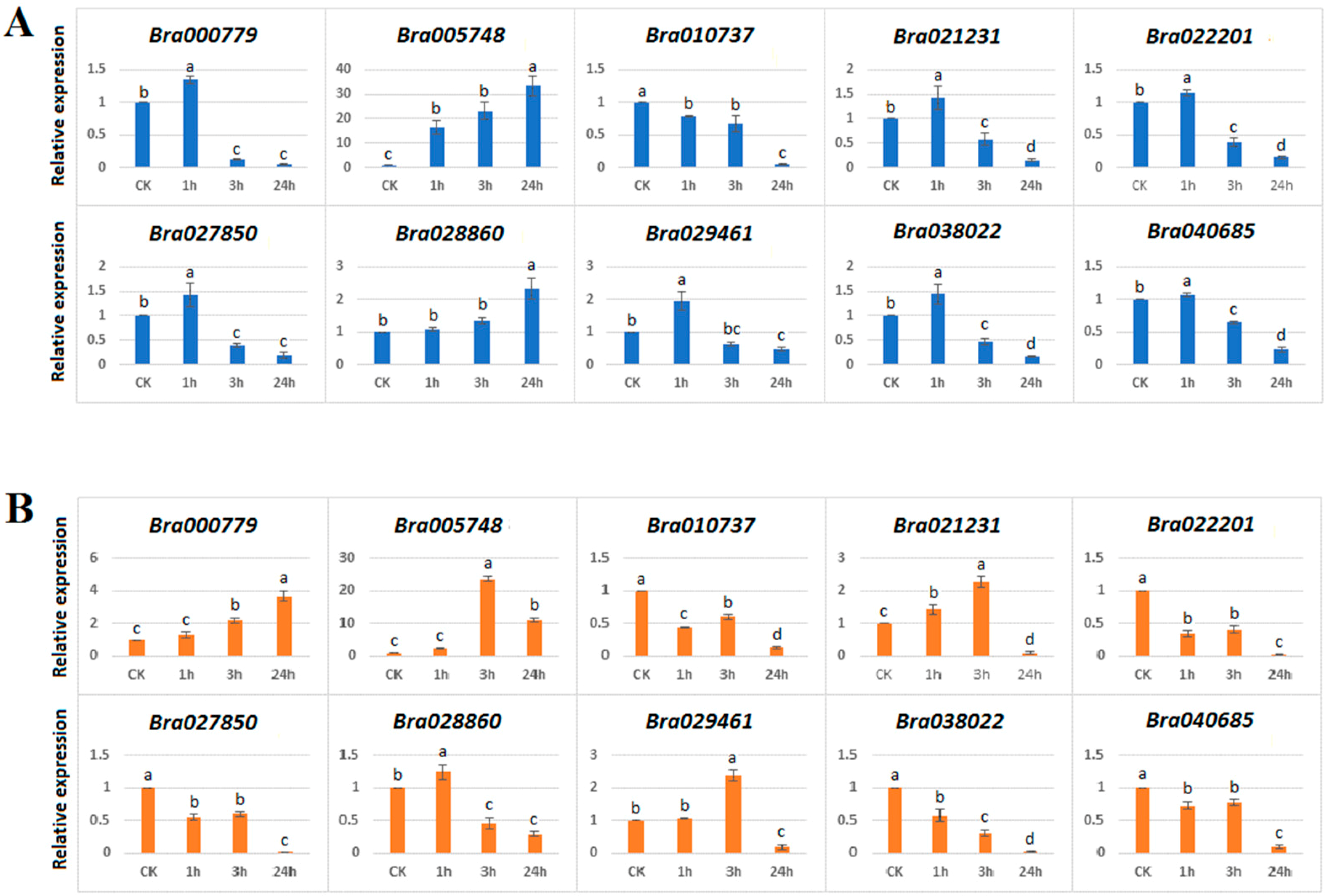 Genes 10 00400 g007 Genes 10 00400 g007
