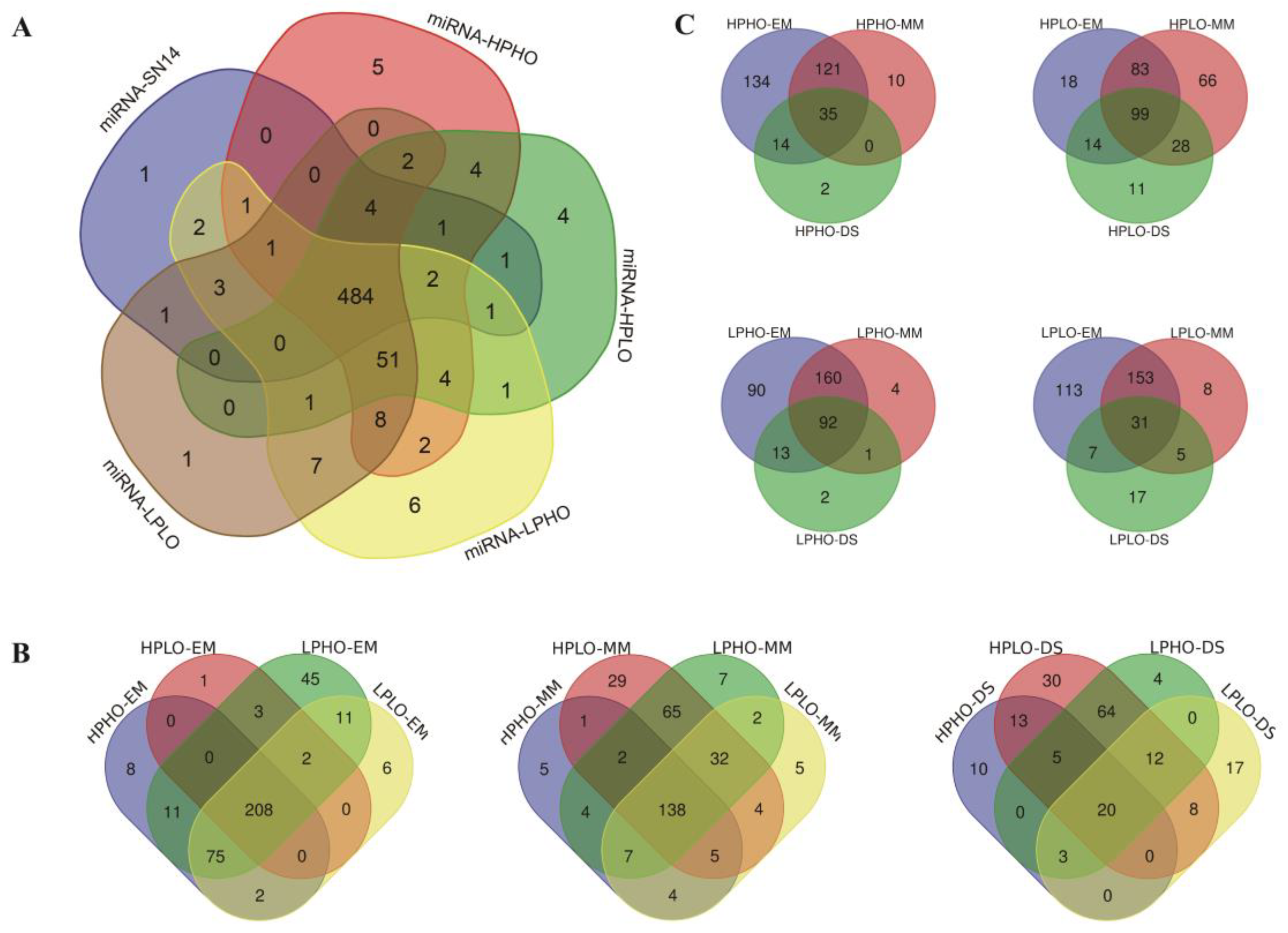 Genes 10 00408 g002