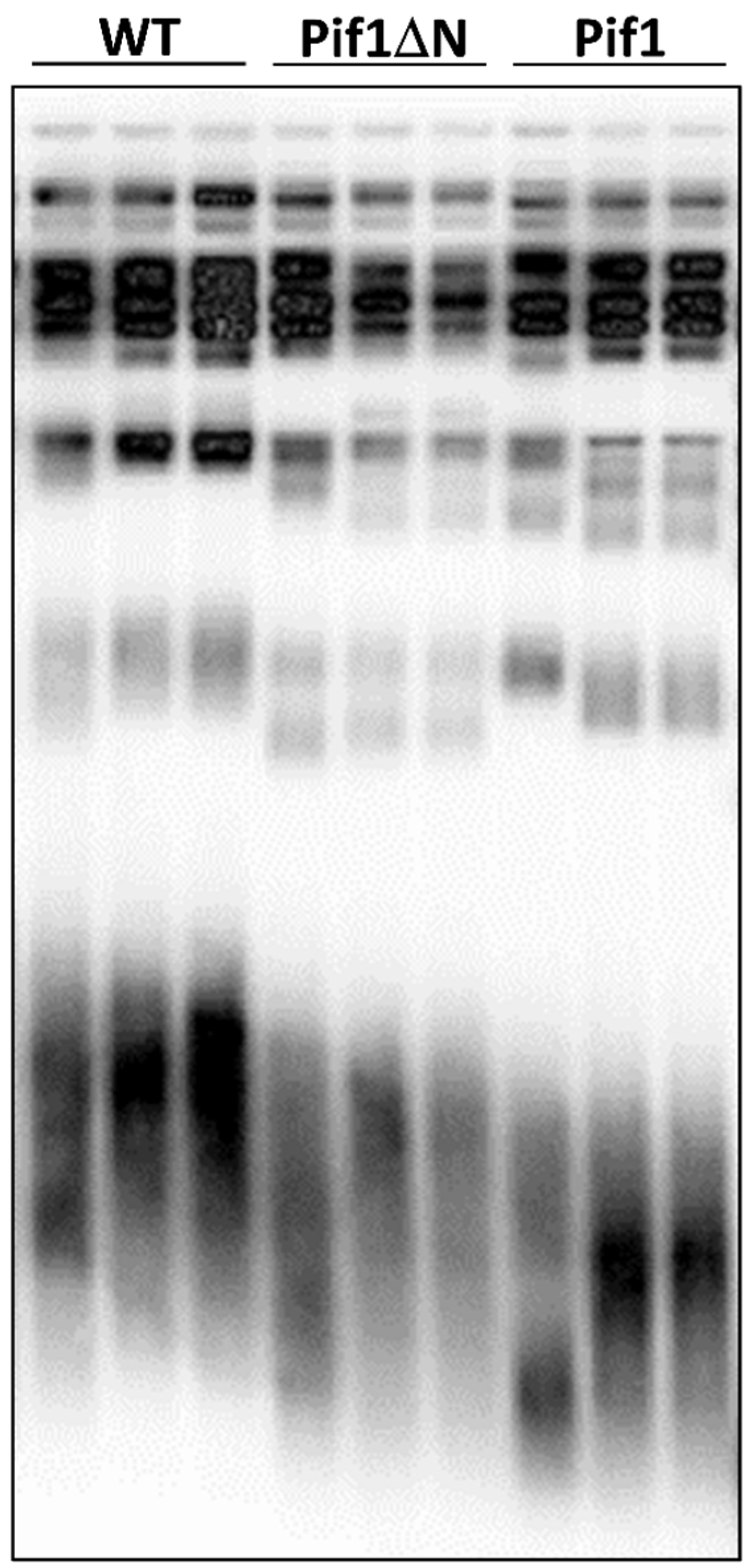 Genes 10 00411 g004 Genes 10 00411 g004