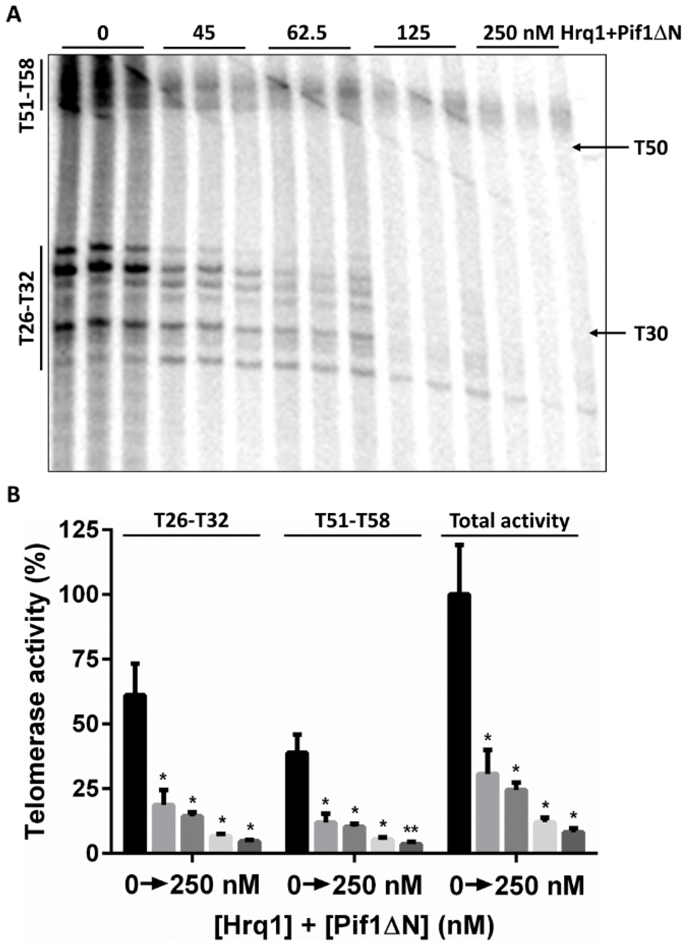 Genes 10 00411 g006 Genes 10 00411 g006