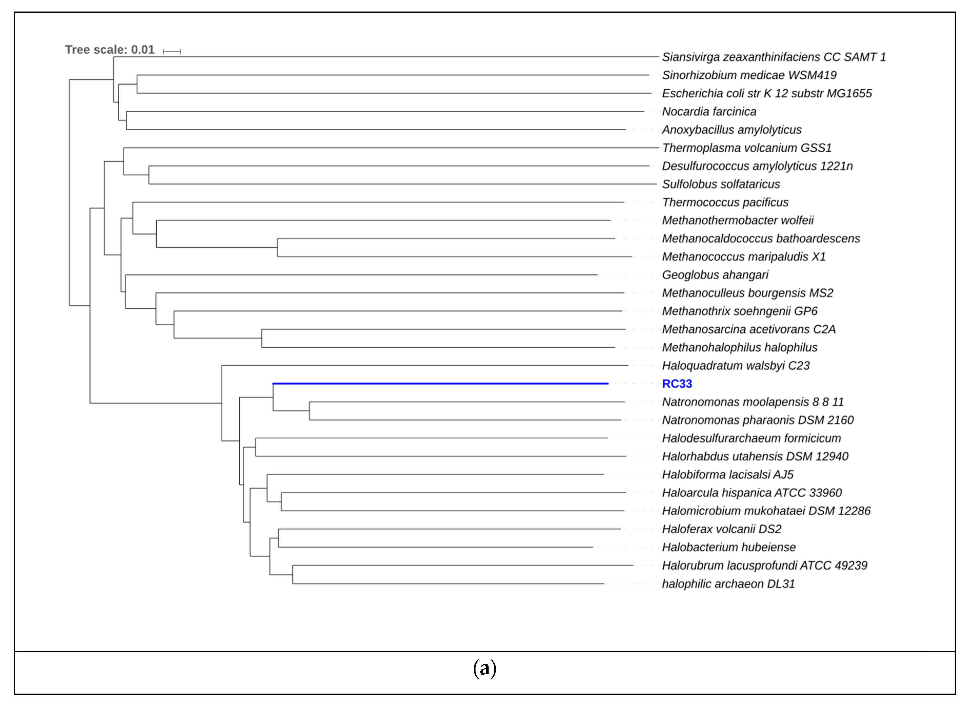 Genes Pond Depth Chart