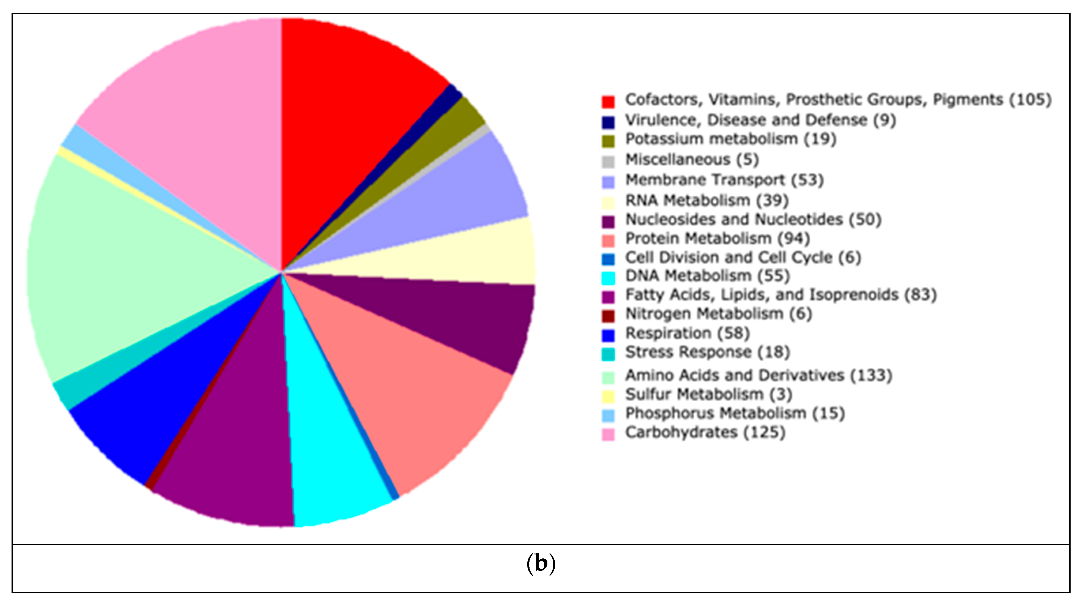 Genes 10 00422 g007b Genes 10 00422 g007b