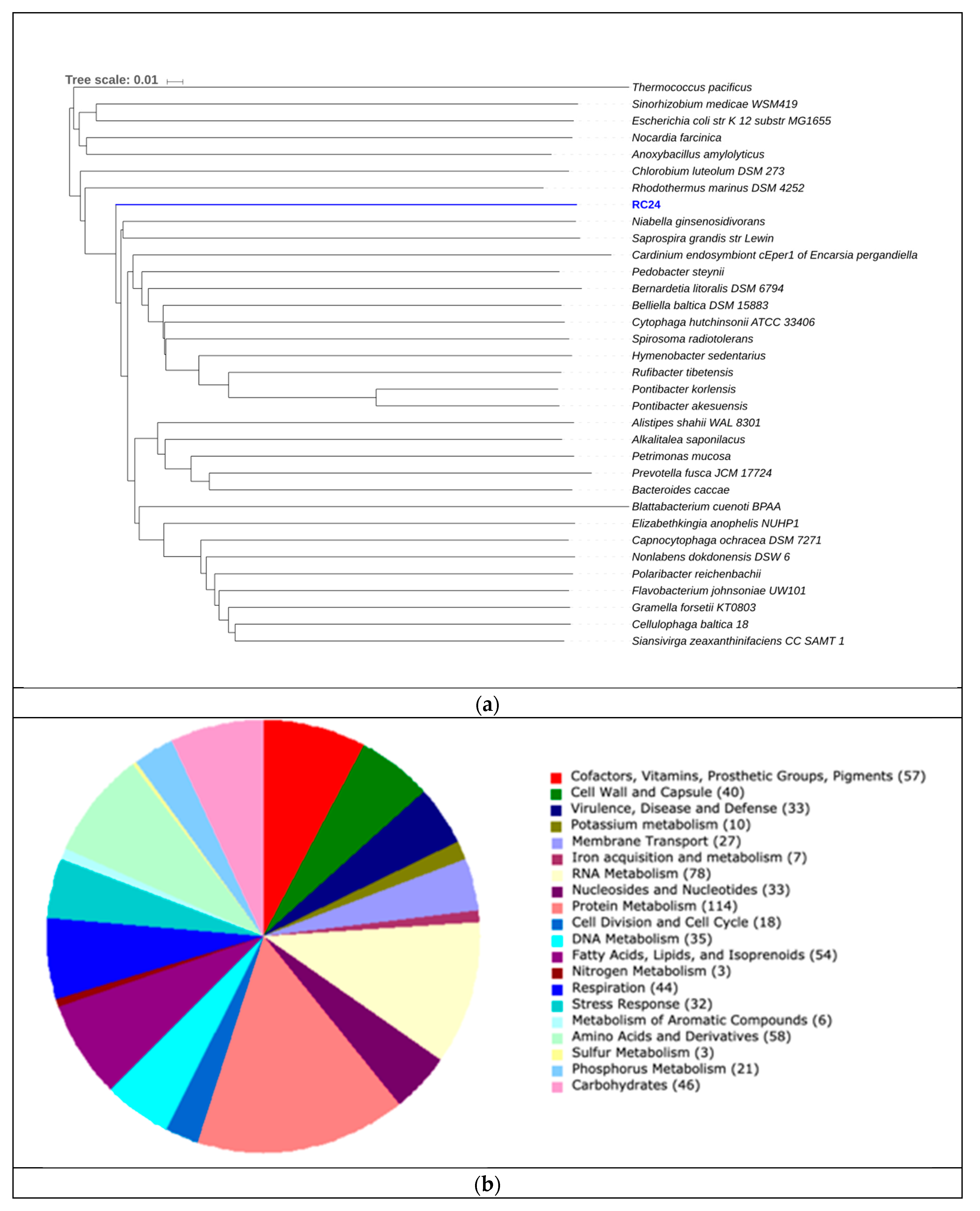 Genes 10 00422 g008 Genes 10 00422 g008