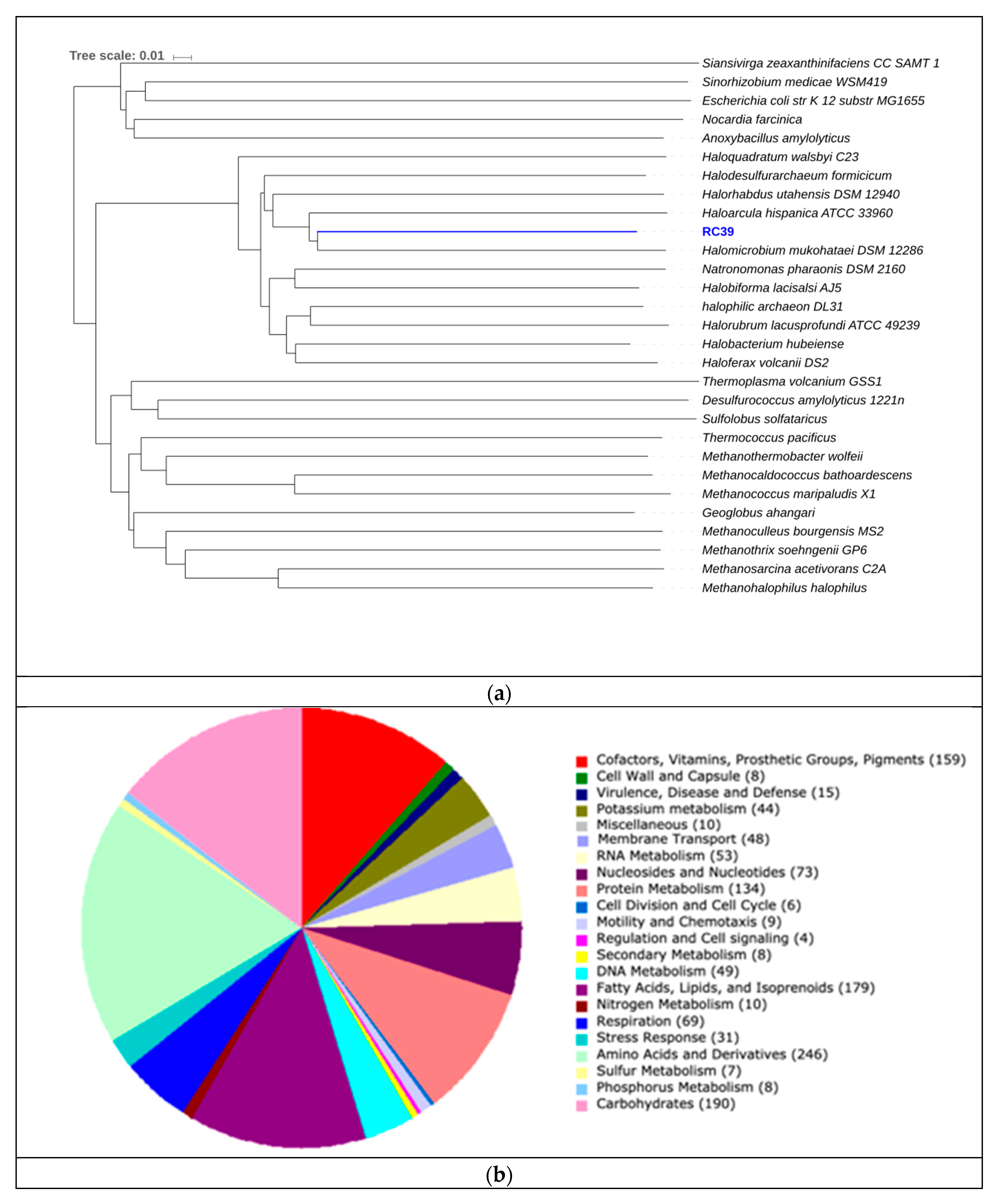 Genes 10 00422 g009 Genes 10 00422 g009