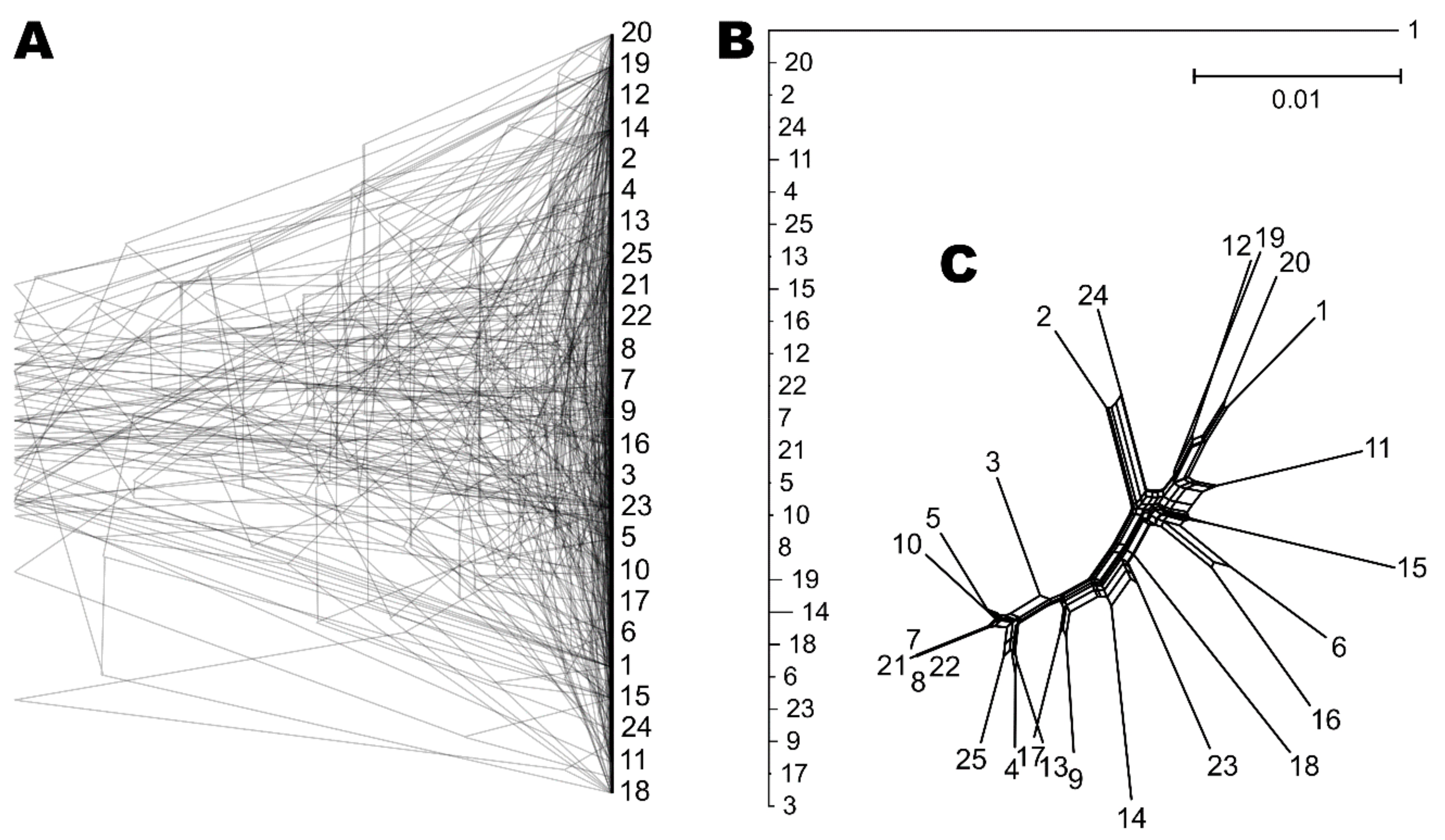 Genes 10 00427 g002 Genes 10 00427 g002