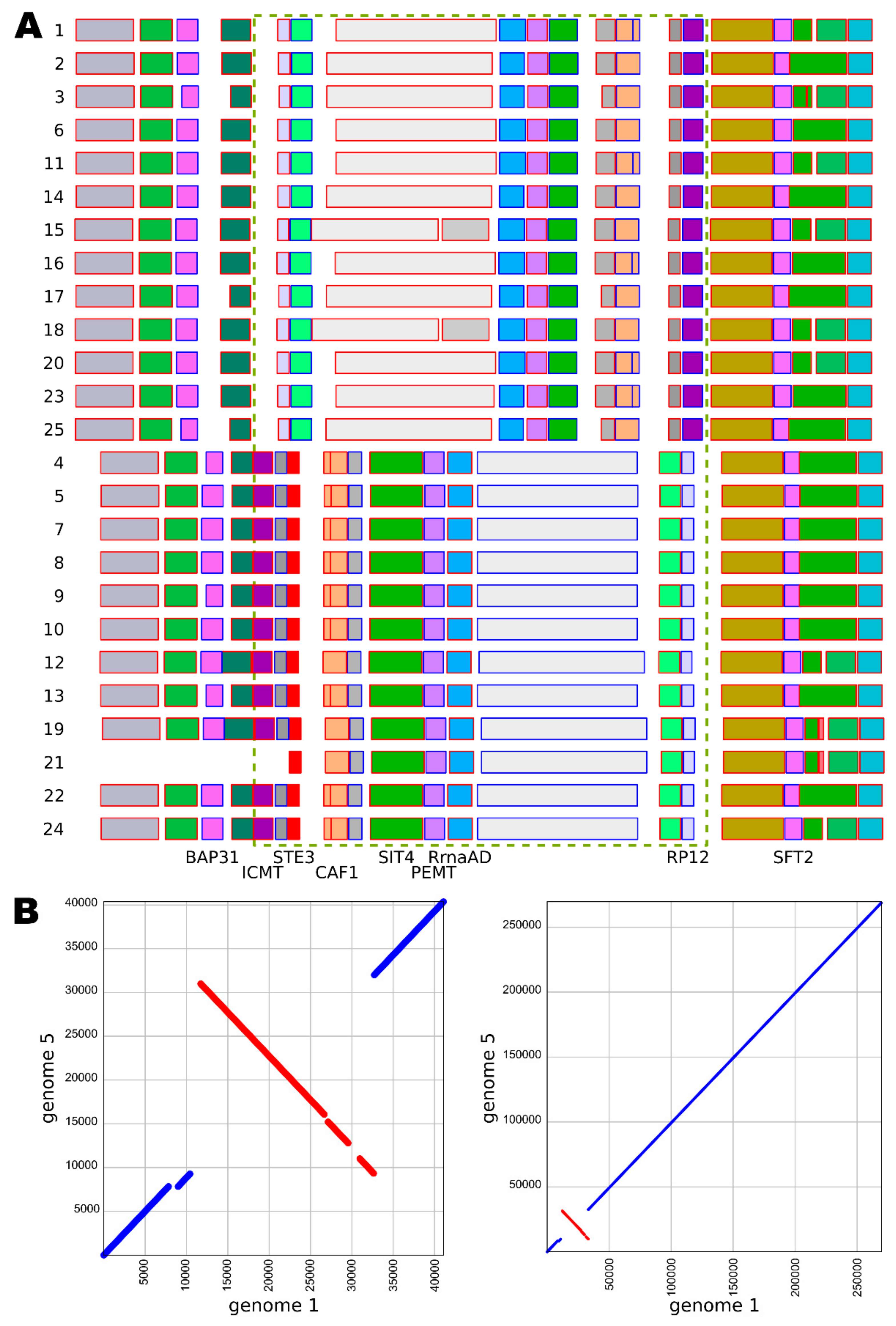 Genes 10 00427 g004 Genes 10 00427 g004