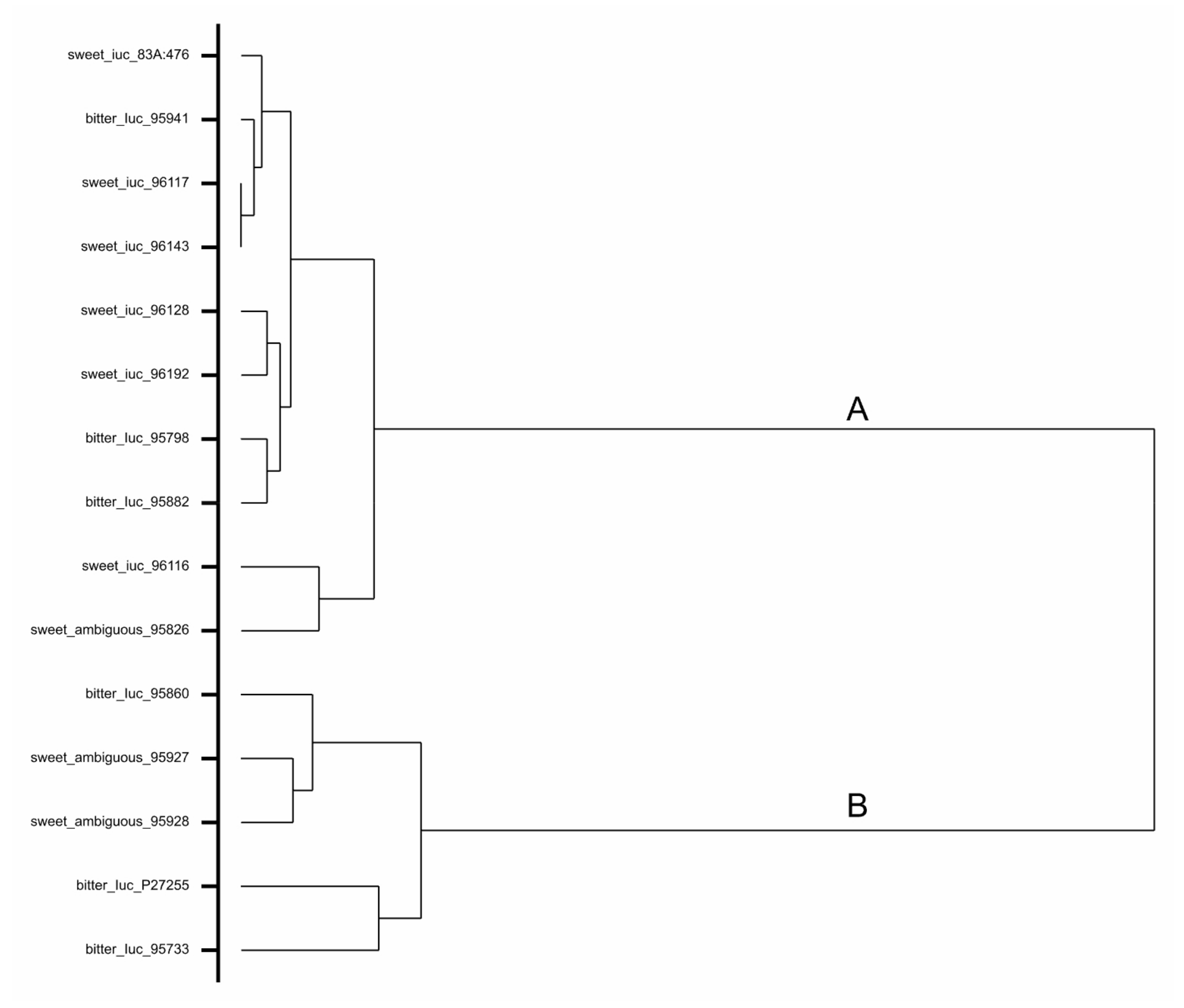 Genes 10 00428 g001