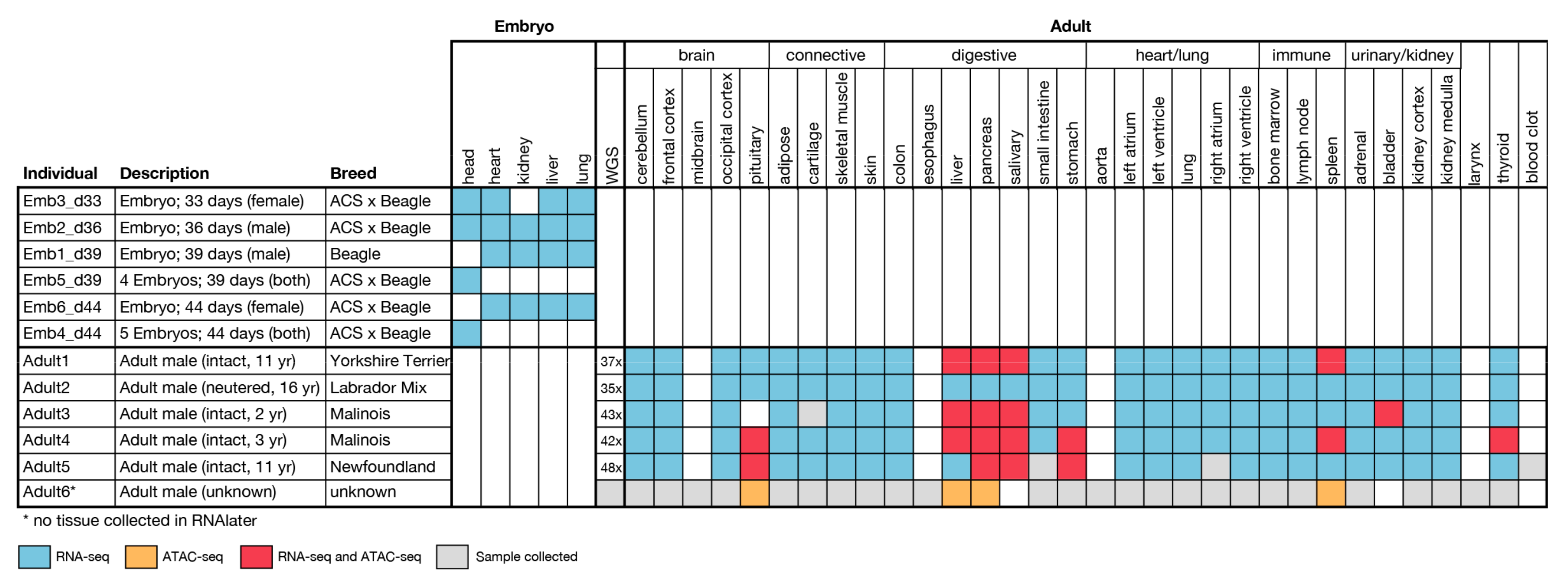 Genes 10 00433 g001 Genes 10 00433 g001