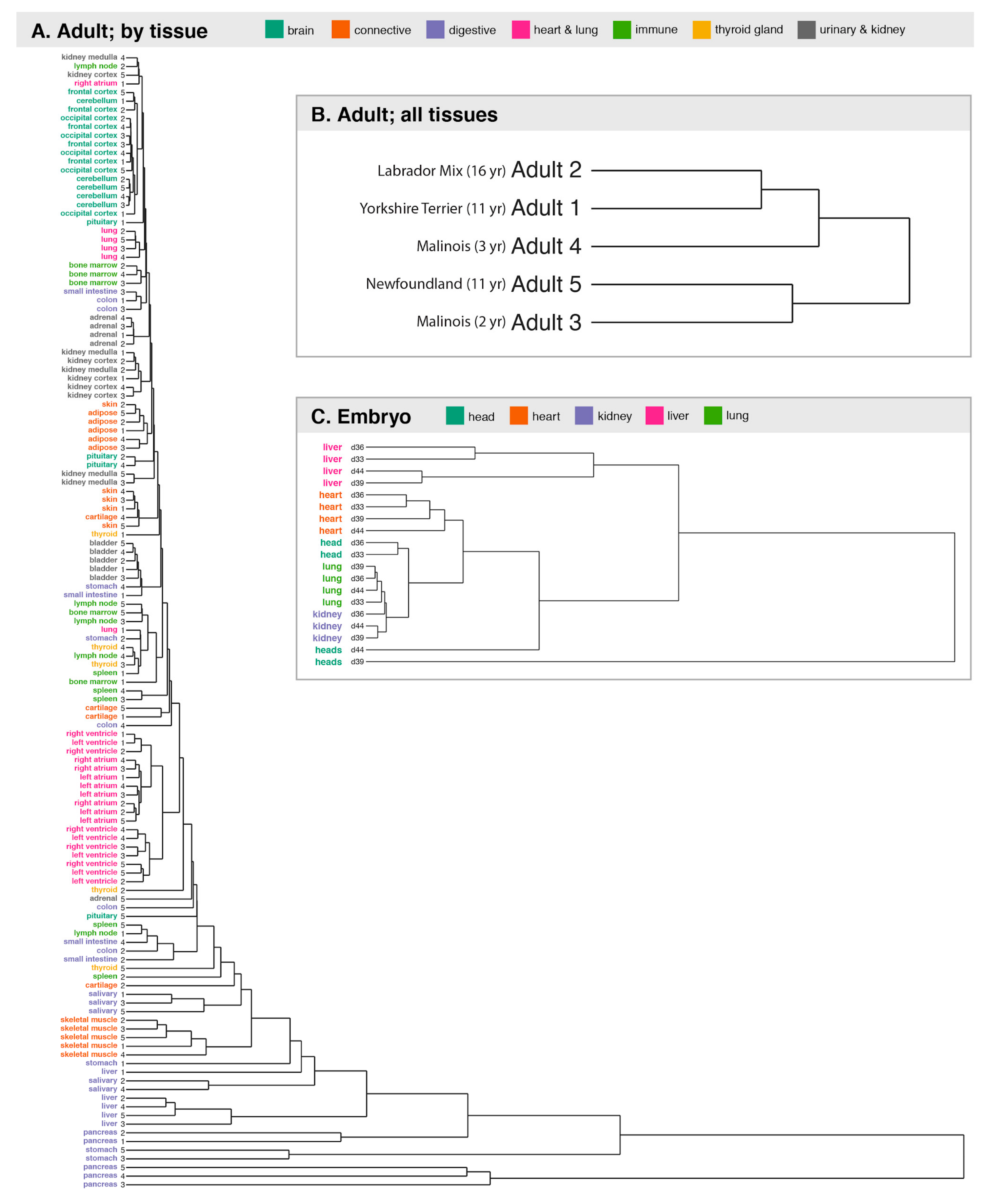 Genes 10 00433 g005 Genes 10 00433 g005