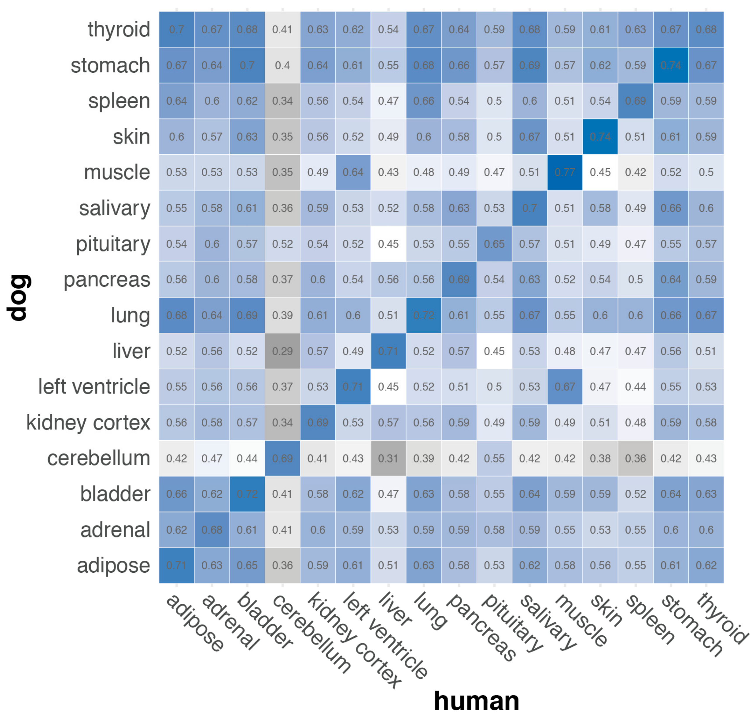 Genes 10 00433 g007 Genes 10 00433 g007