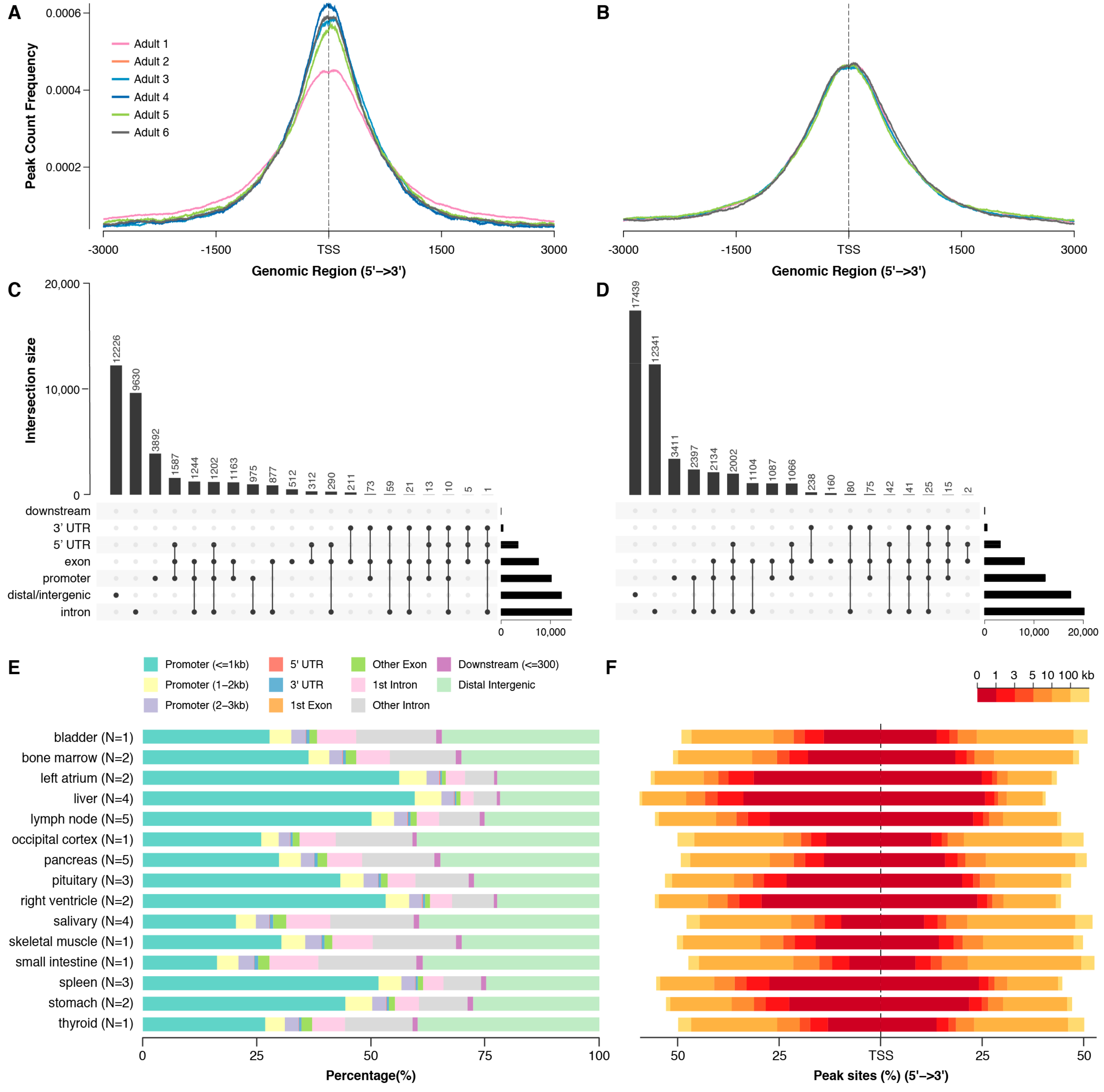 Genes 10 00433 g008 Genes 10 00433 g008