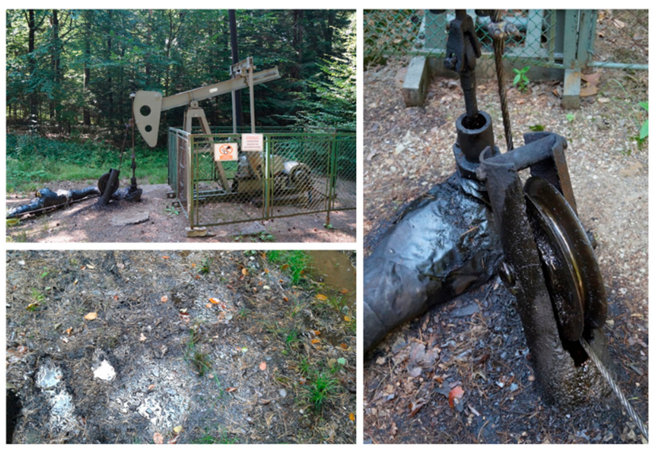 Genes 10 00443 g001 Genes 10 00443 g001