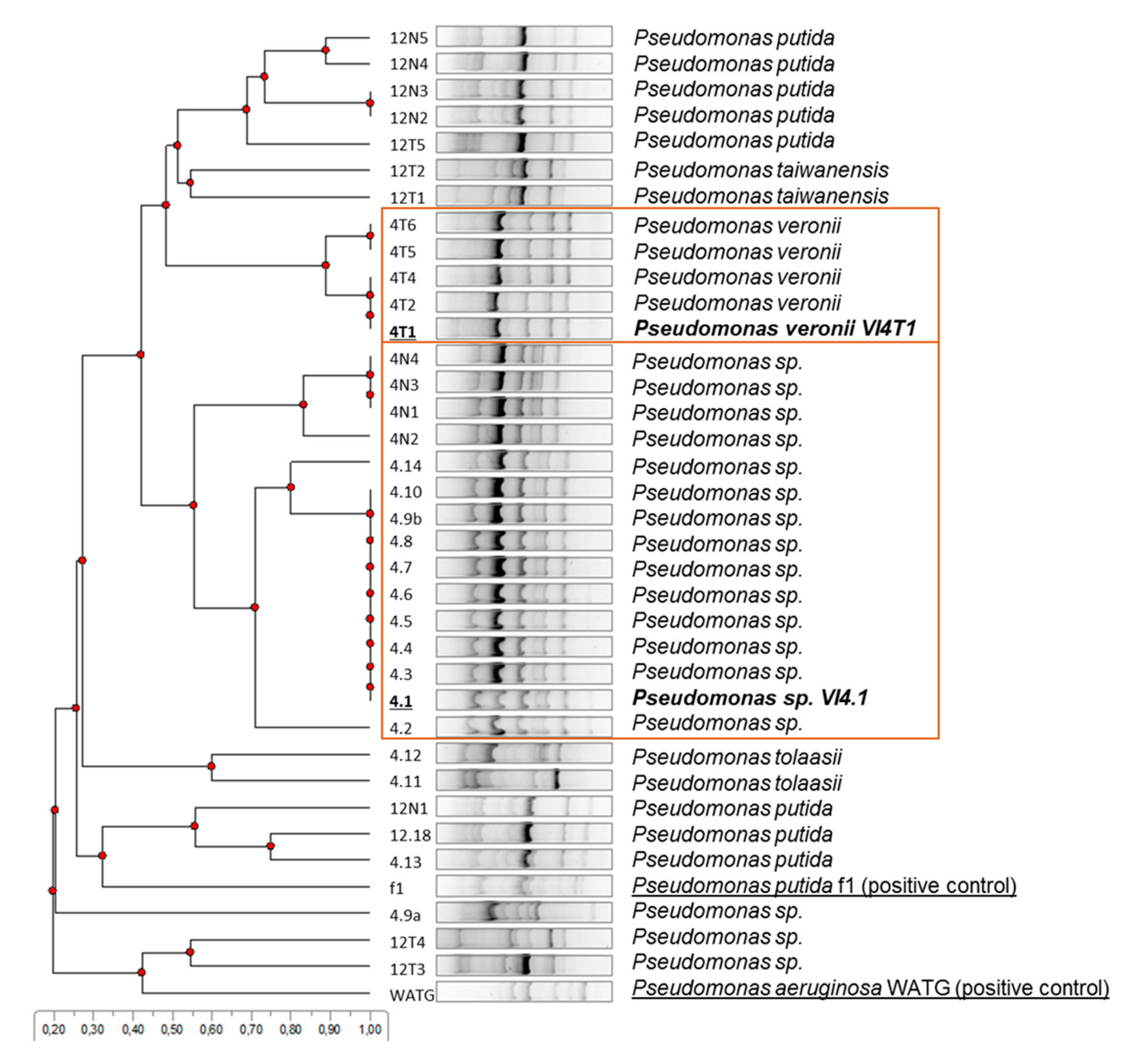 Genes 10 00443 g003 Genes 10 00443 g003