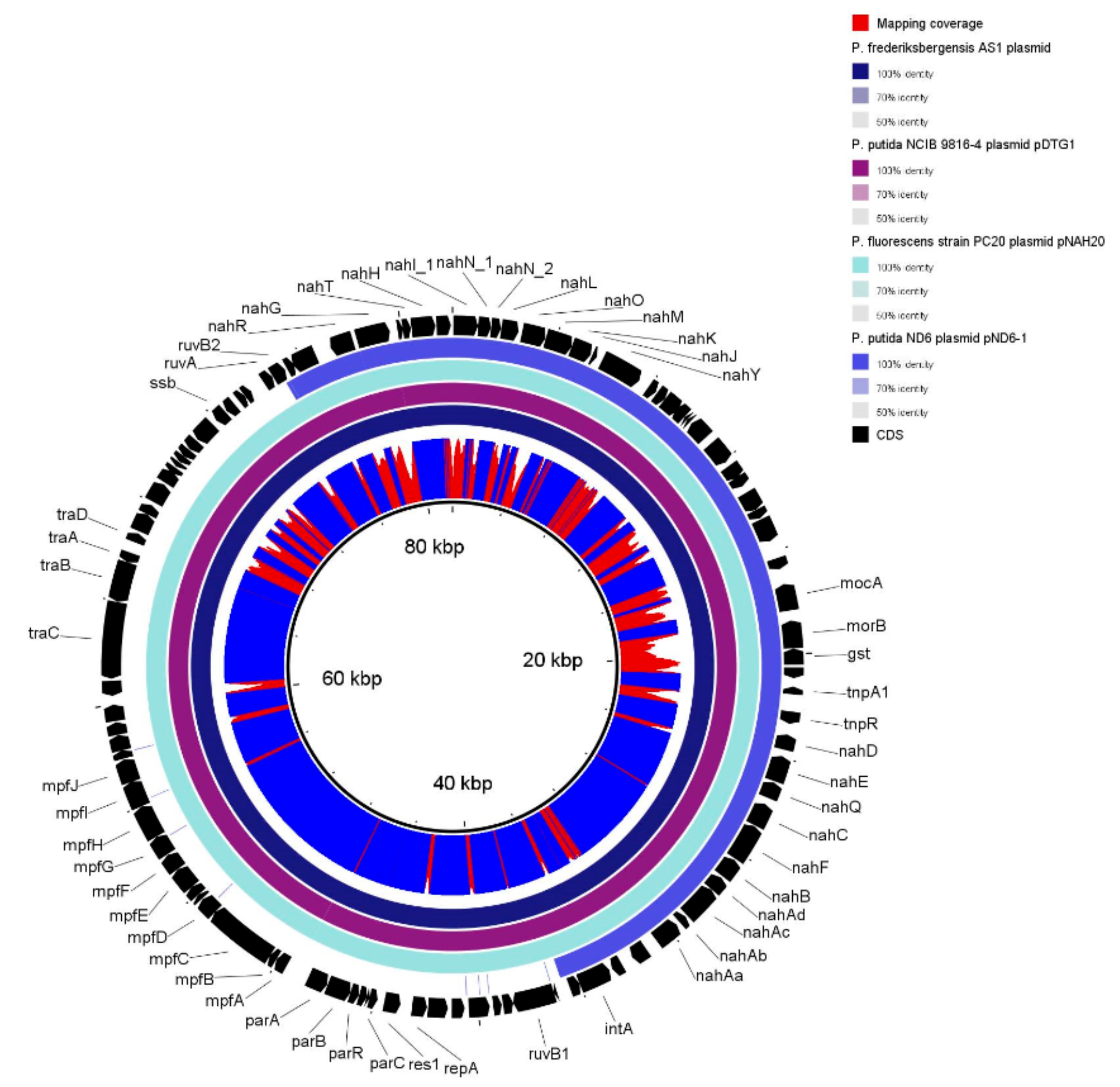 Genes 10 00443 g005 Genes 10 00443 g005