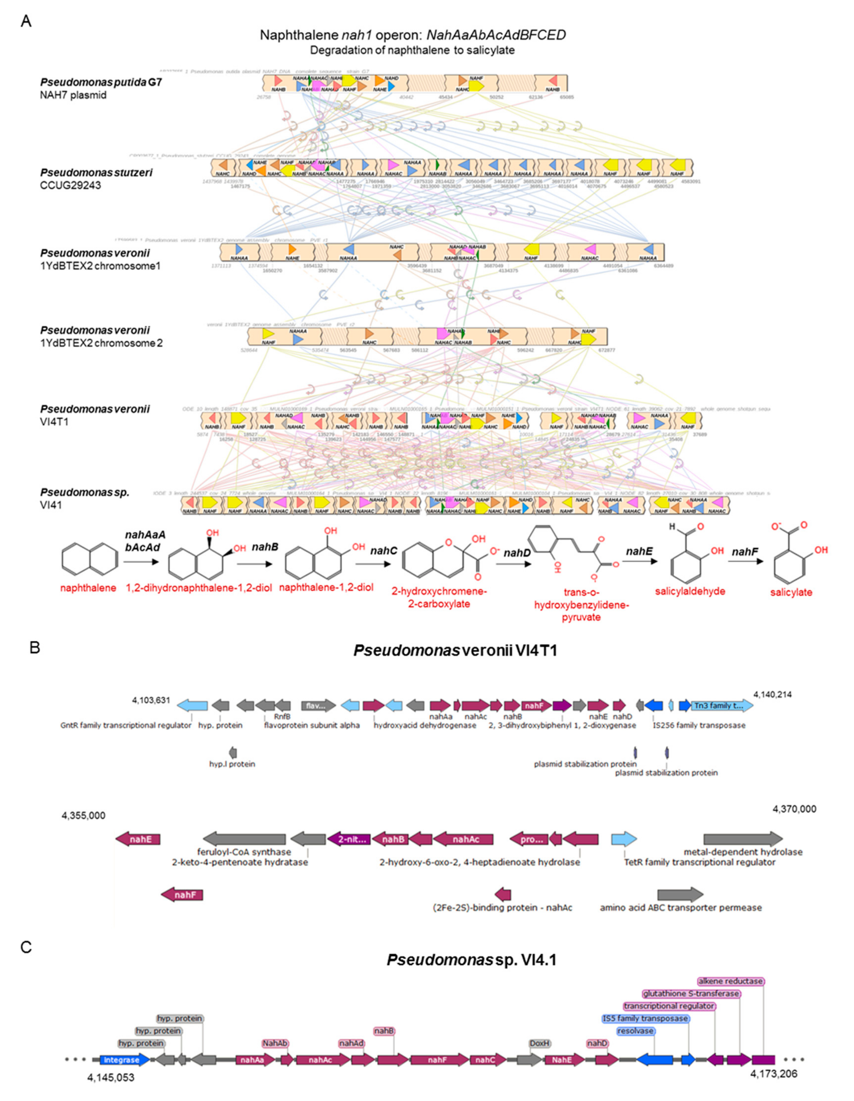 Genes 10 00443 g006 Genes 10 00443 g006