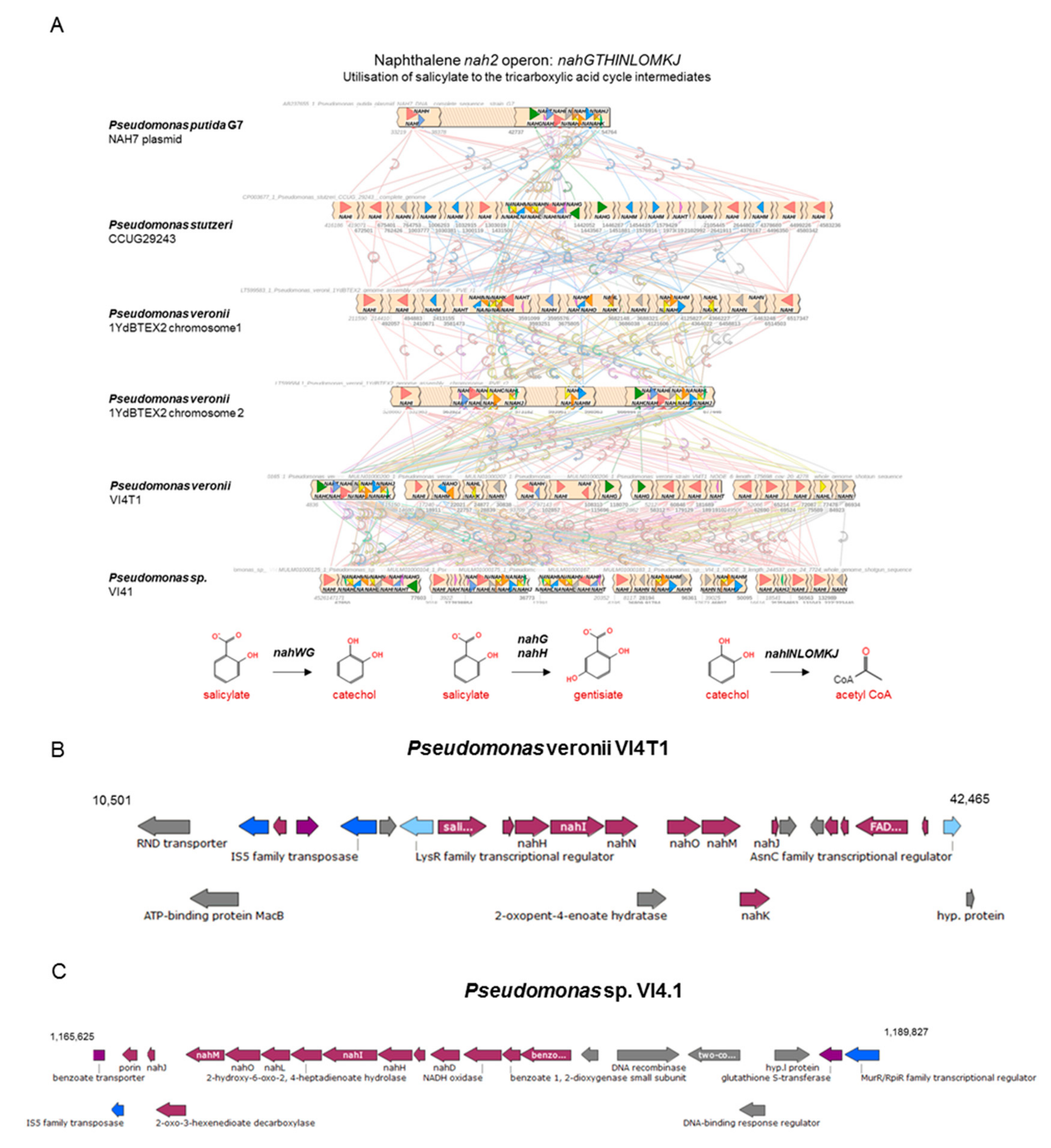 Genes 10 00443 g007 Genes 10 00443 g007