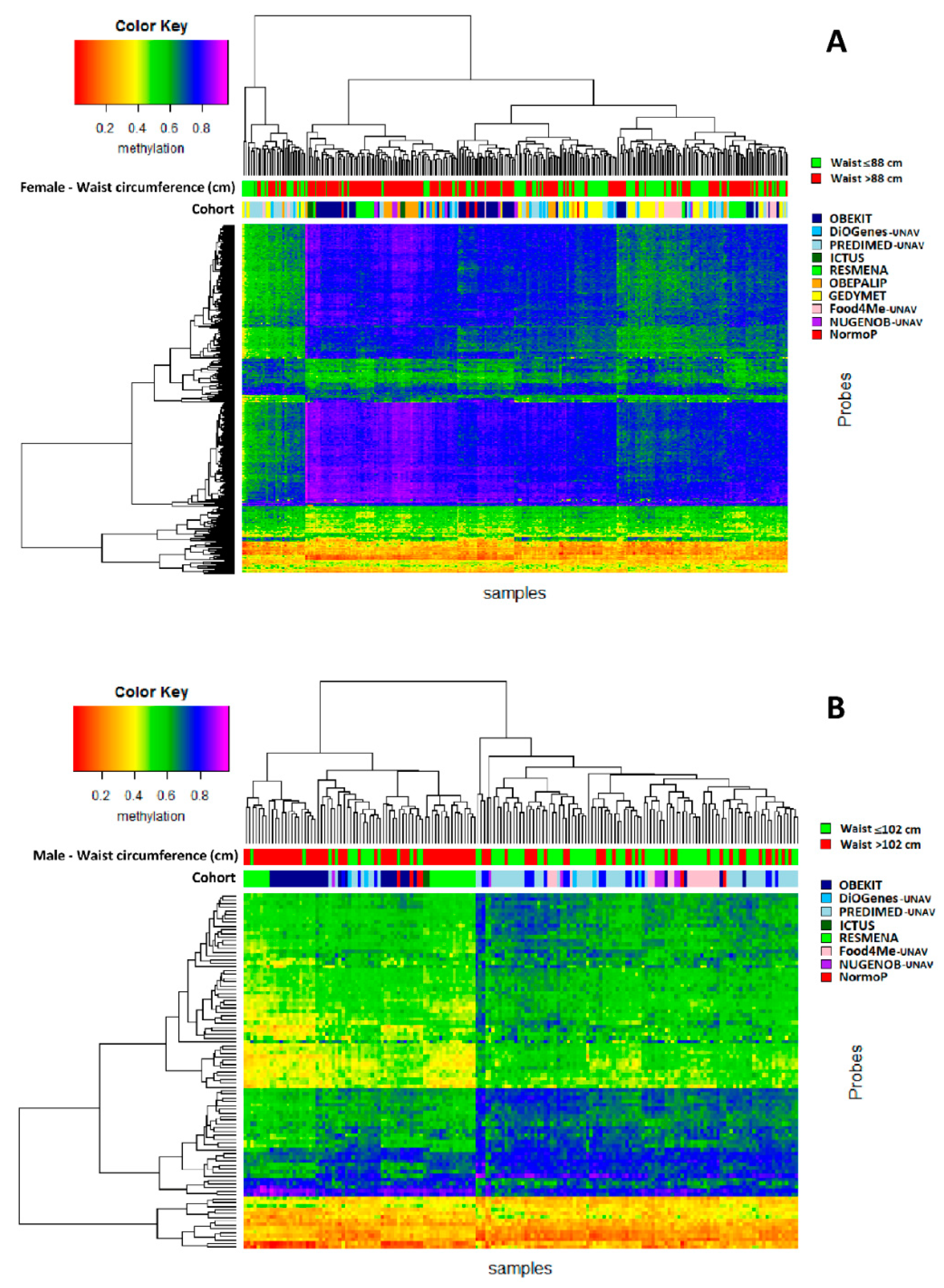 Genes 10 00444 g003