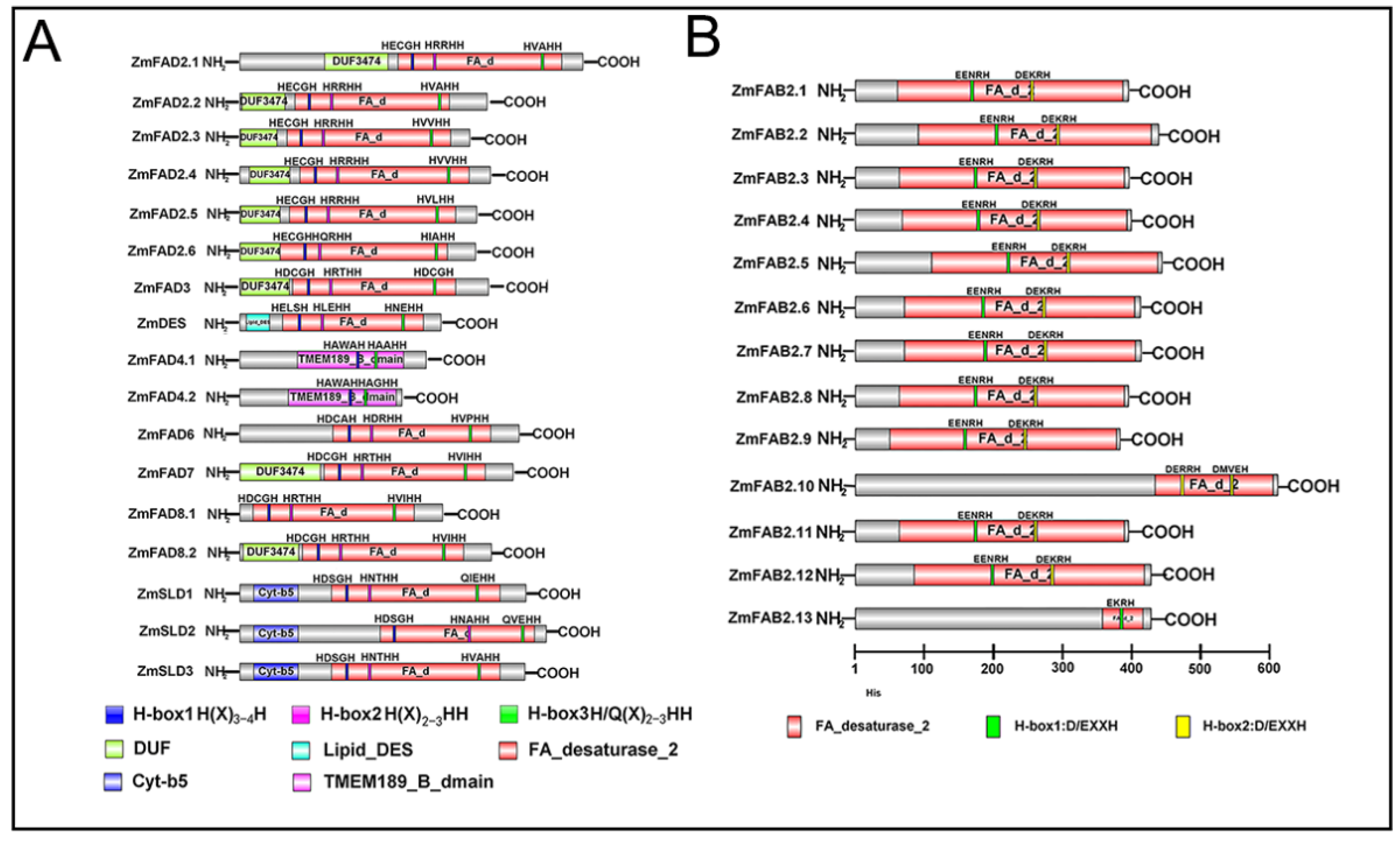 Genes 10 00445 g004