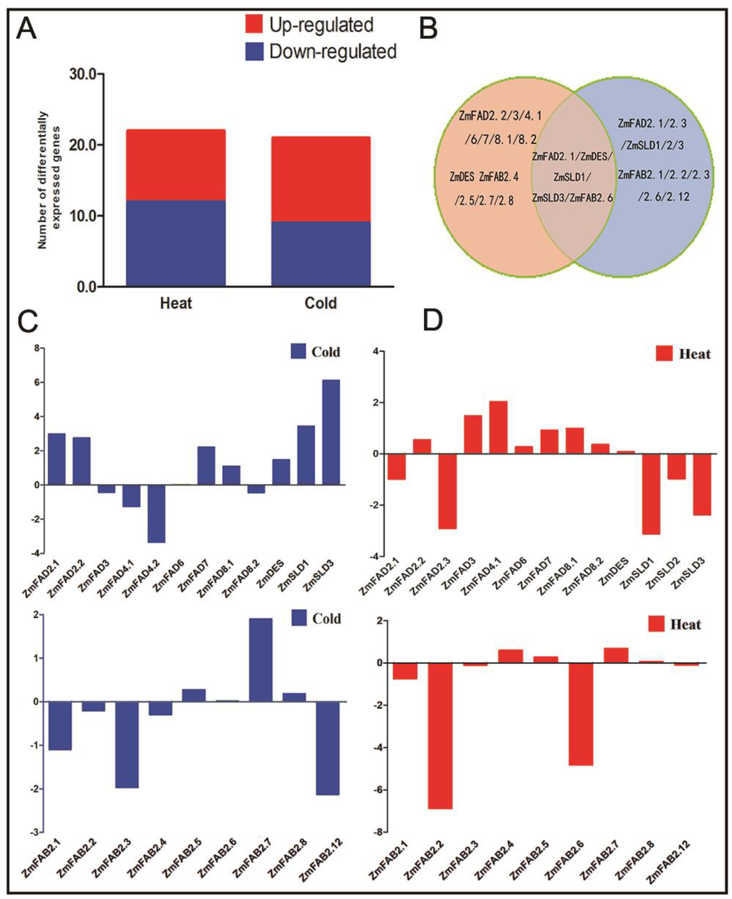 Genes 10 00445 g006