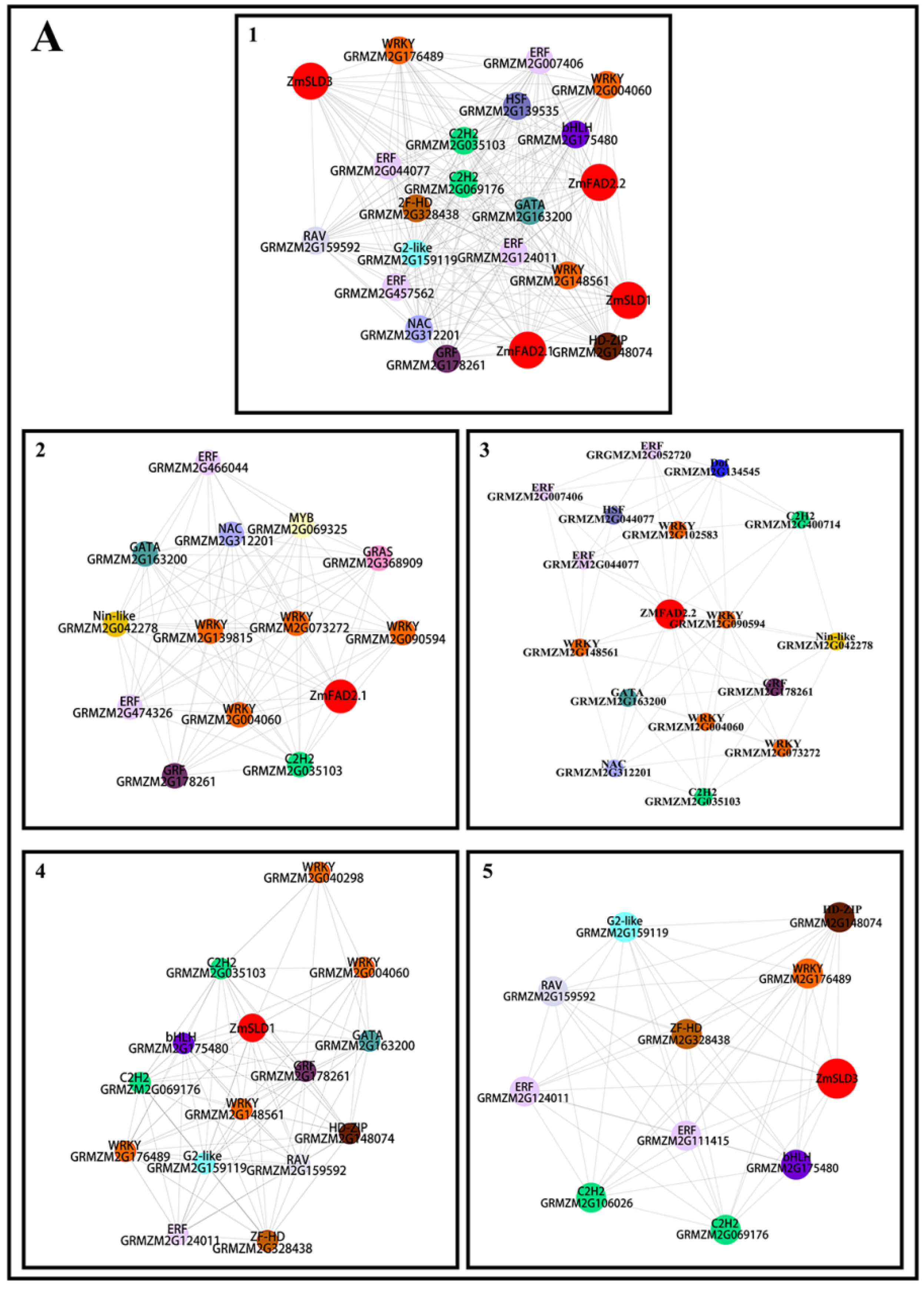Genes 10 00445 g007a