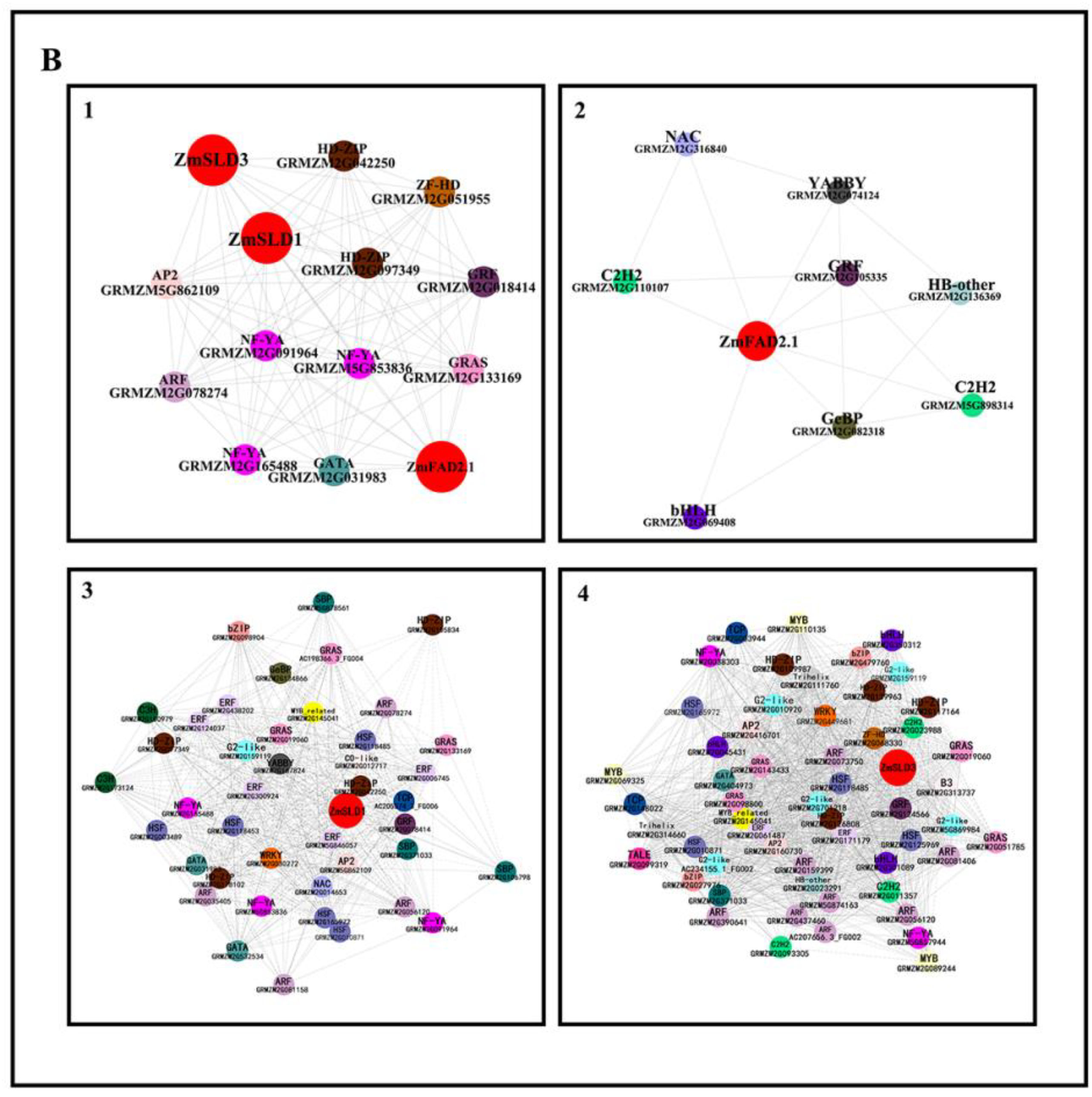 Genes 10 00445 g007b