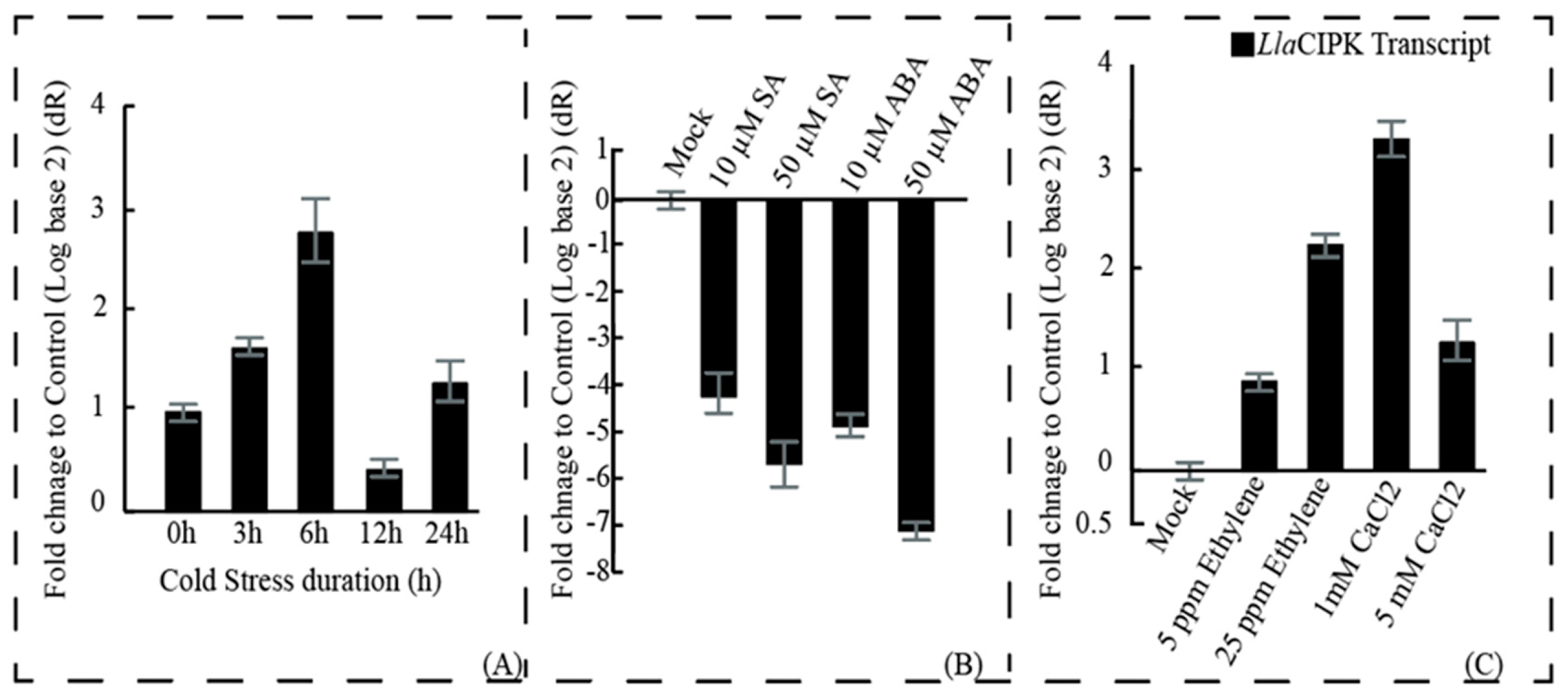 Genes 10 00446 g004