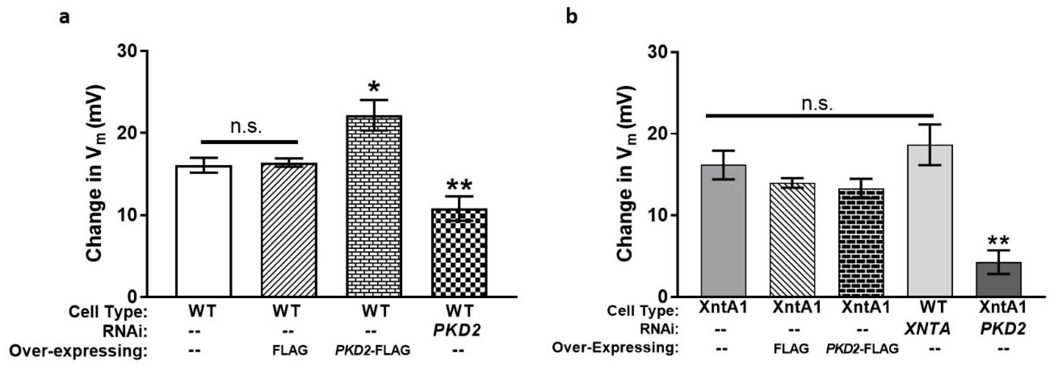 Genes 10 00455 g009 Genes 10 00455 g009