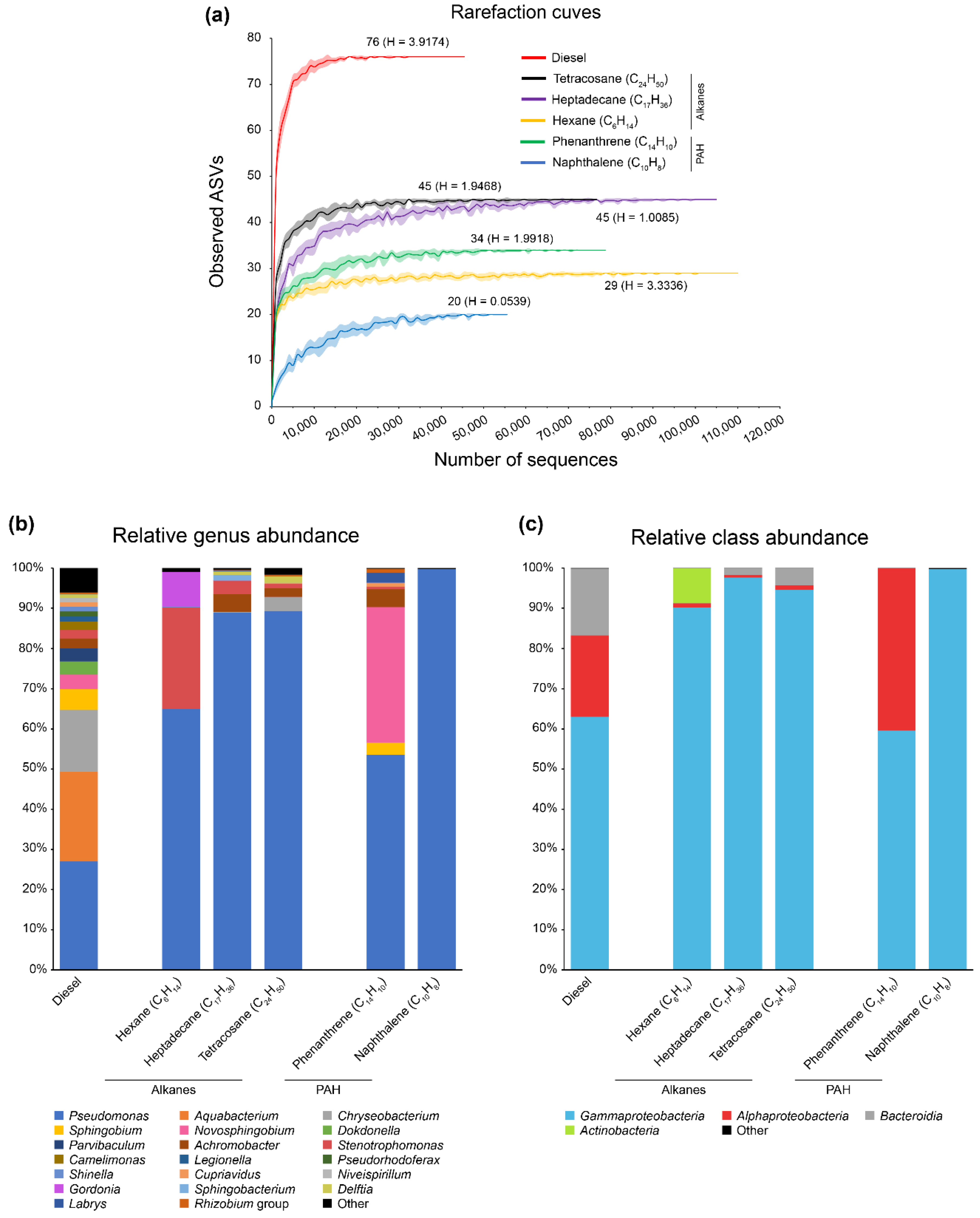 Genes 10 00456 g001