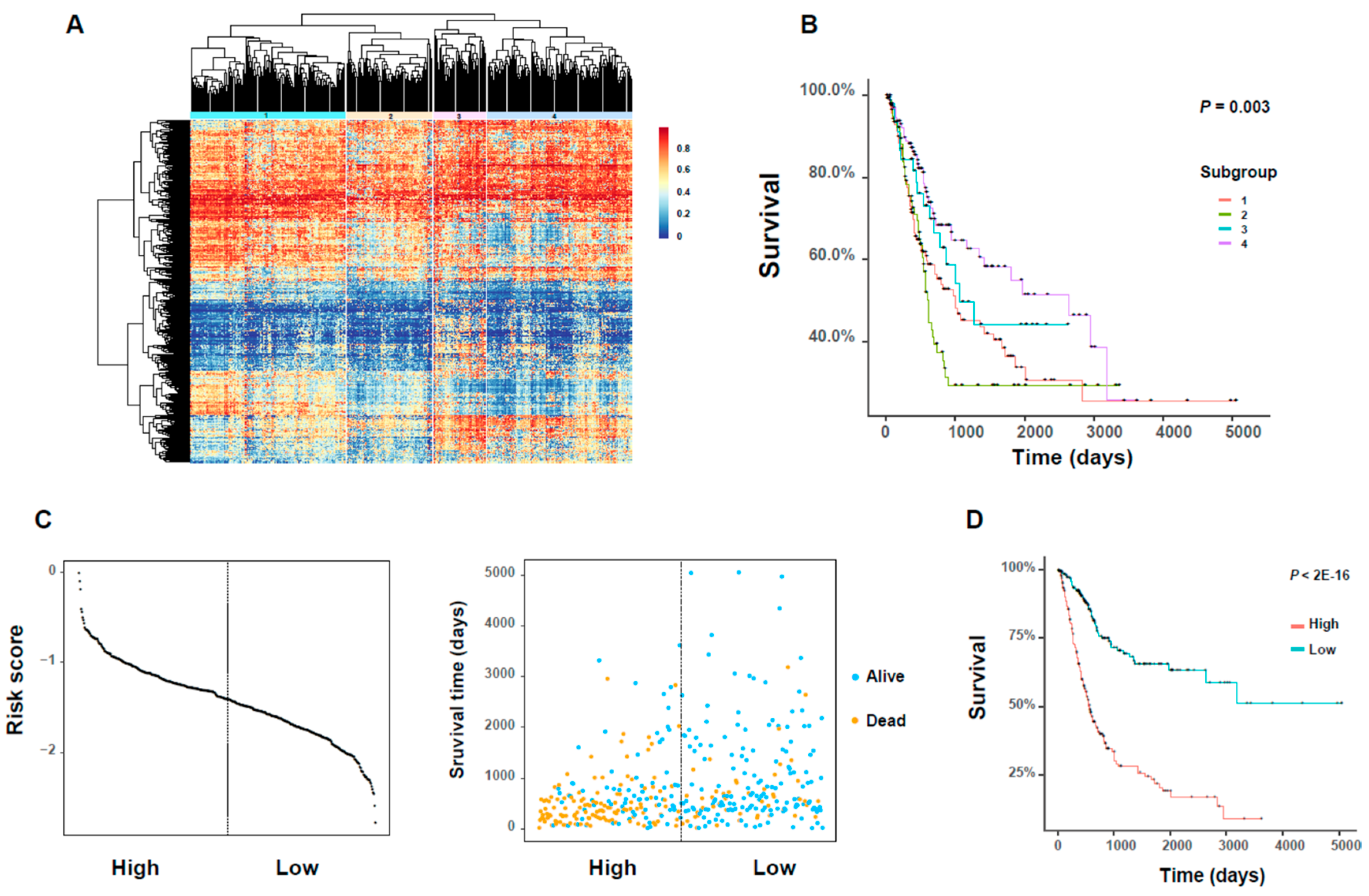 Genes 10 00464 g006