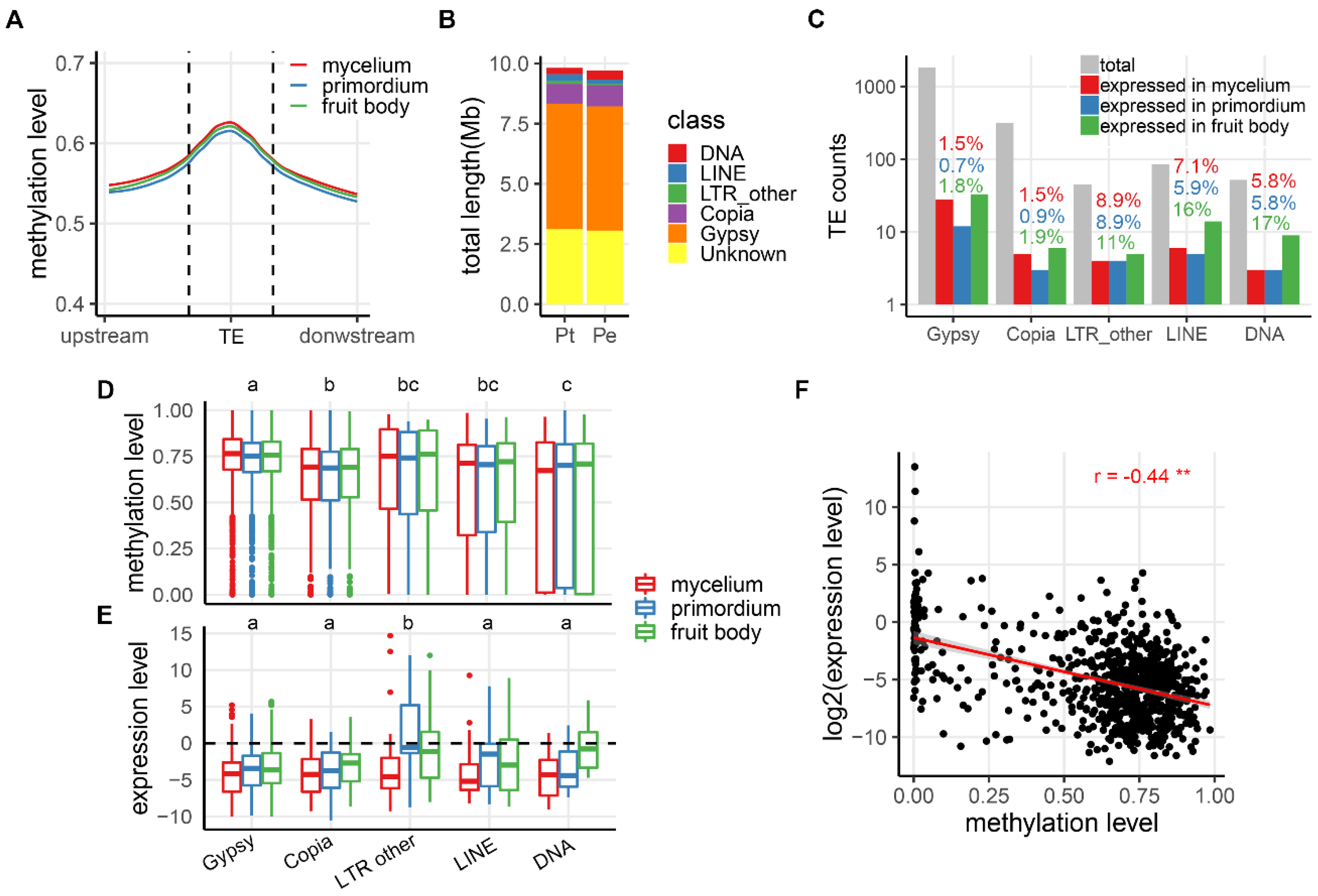 Genes 10 00465 g003 Genes 10 00465 g003