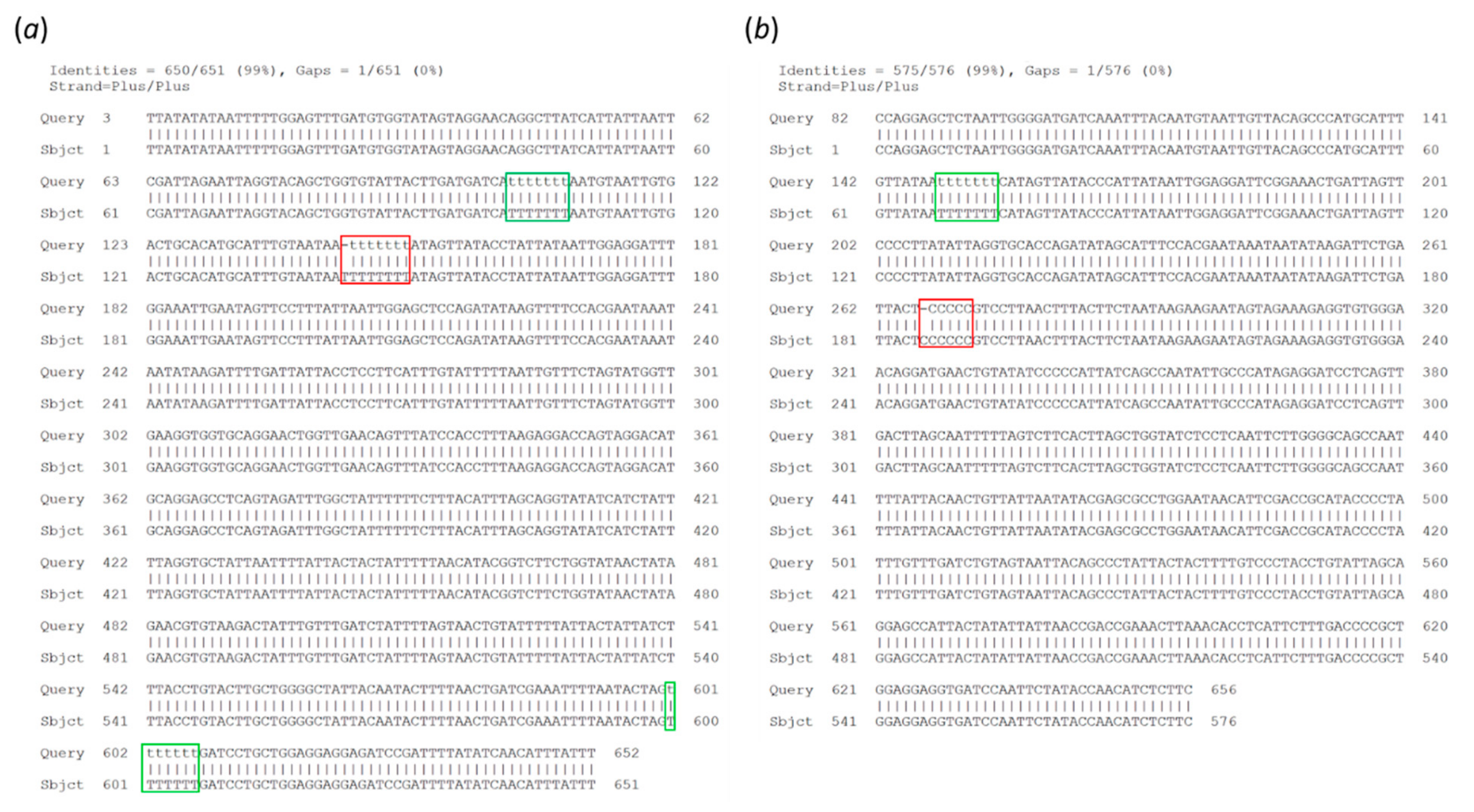 Genes 10 00468 g003 550