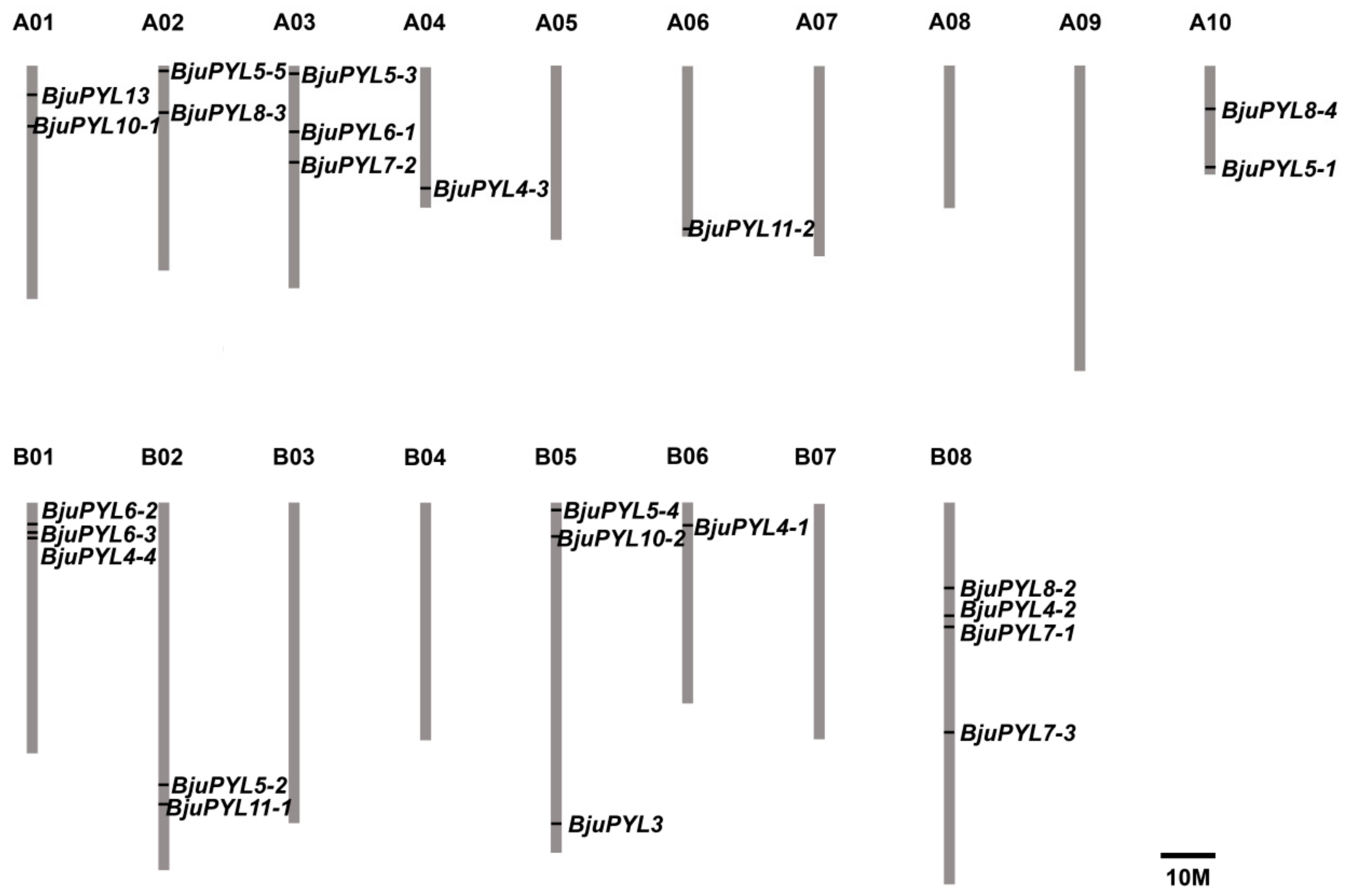 Genes 10 00470 g001 Genes 10 00470 g001