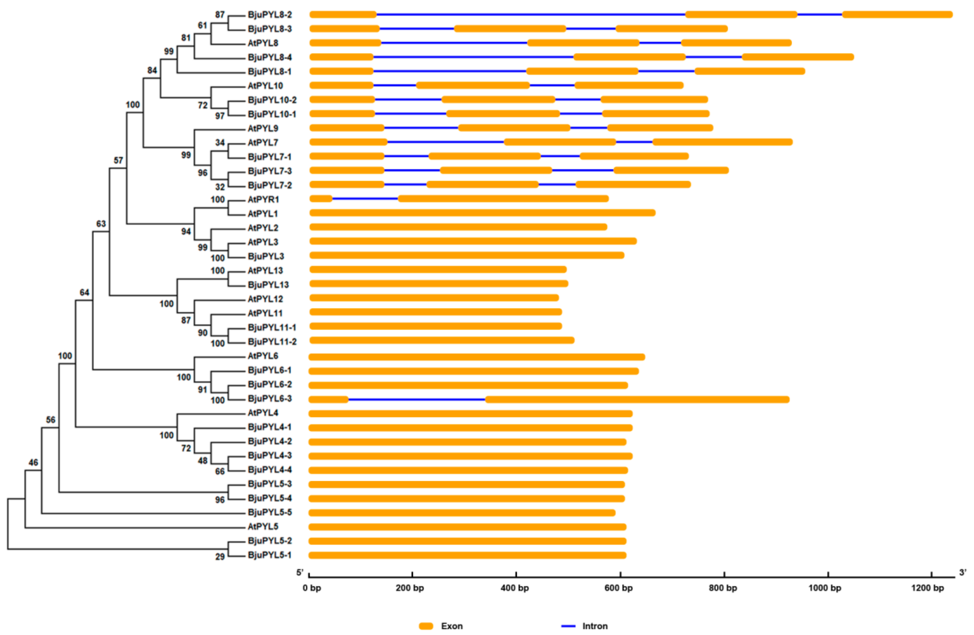 Genes 10 00470 g002 Genes 10 00470 g002