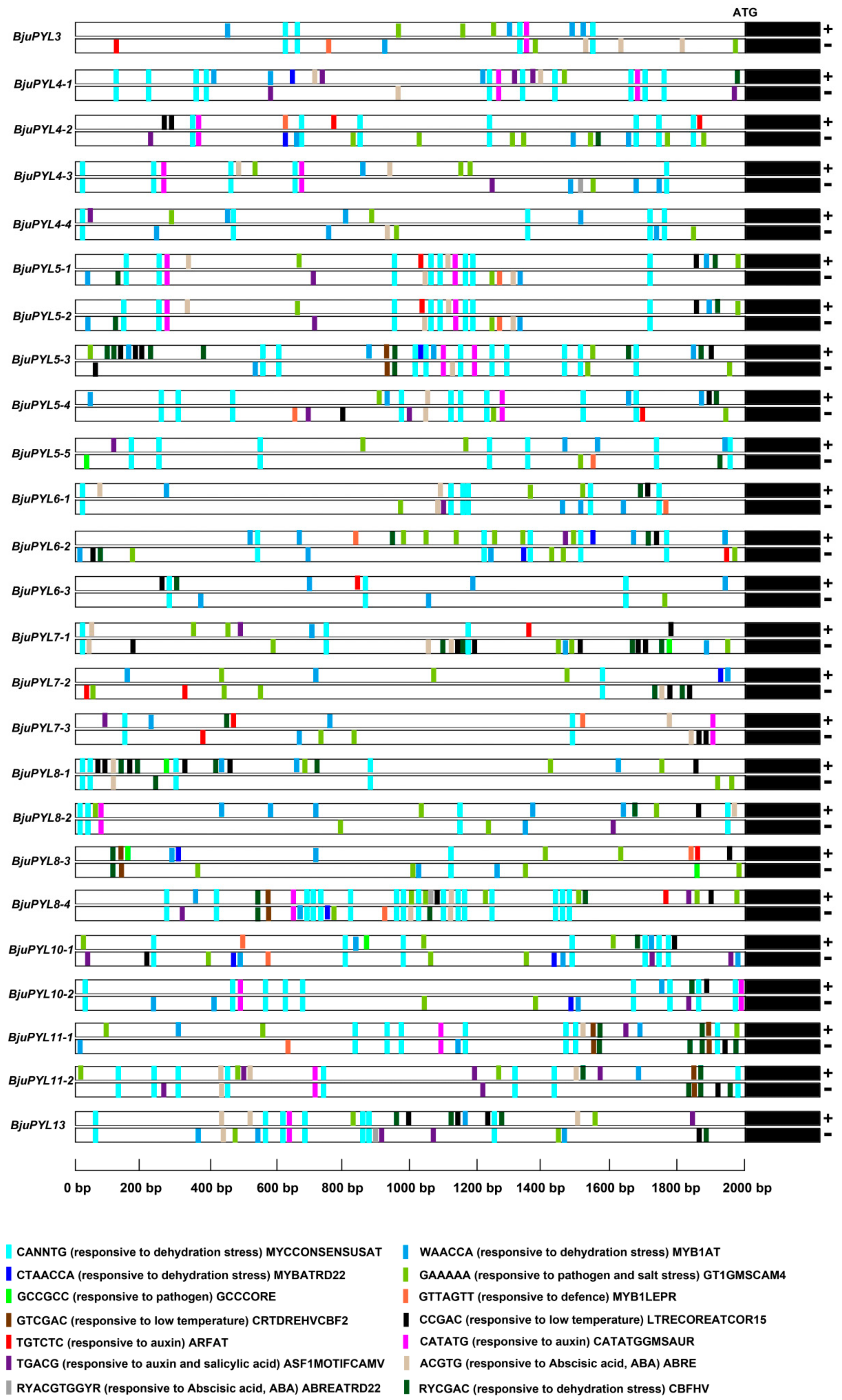 Genes 10 00470 g004 Genes 10 00470 g004