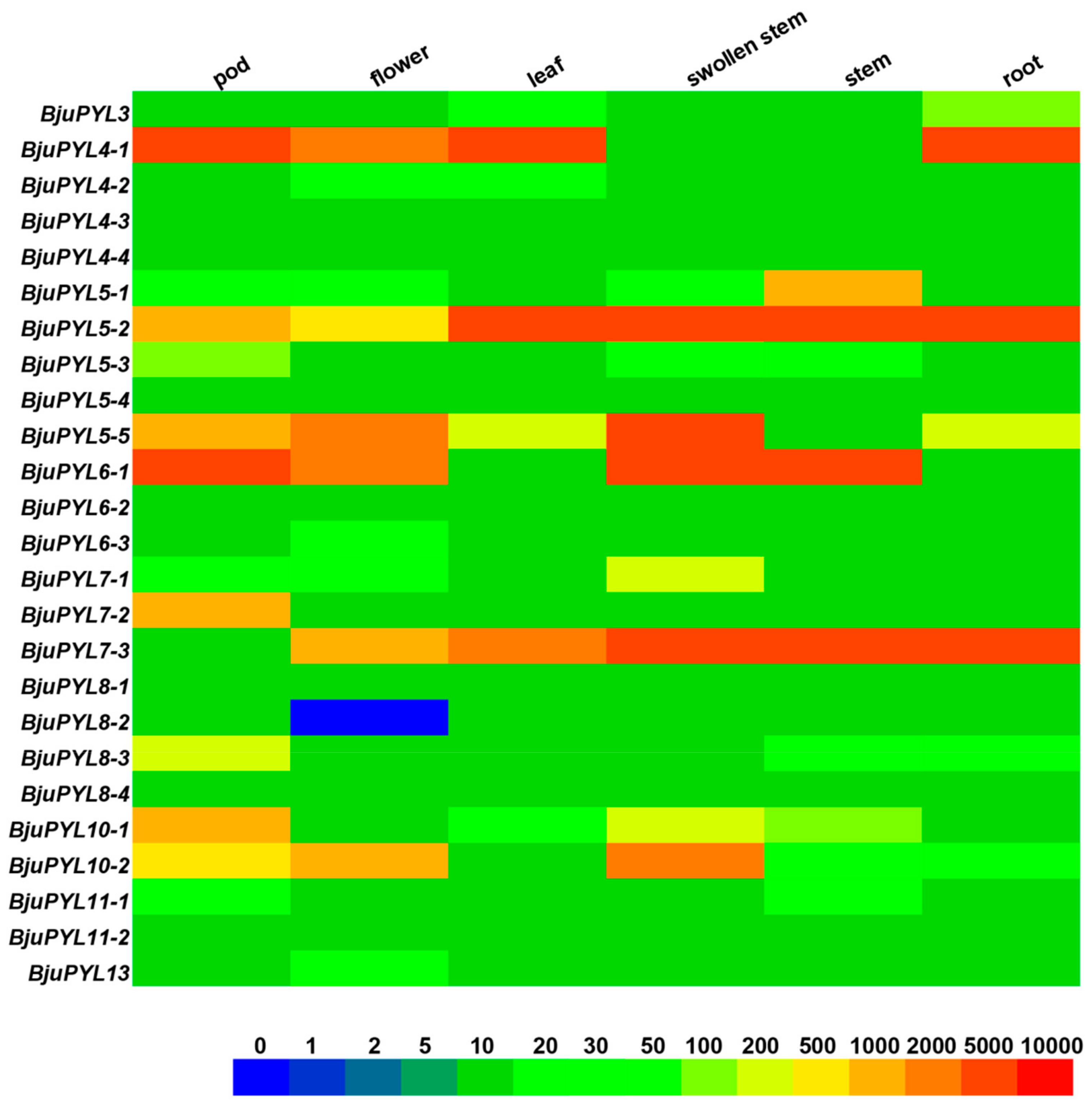 Genes 10 00470 g005 Genes 10 00470 g005