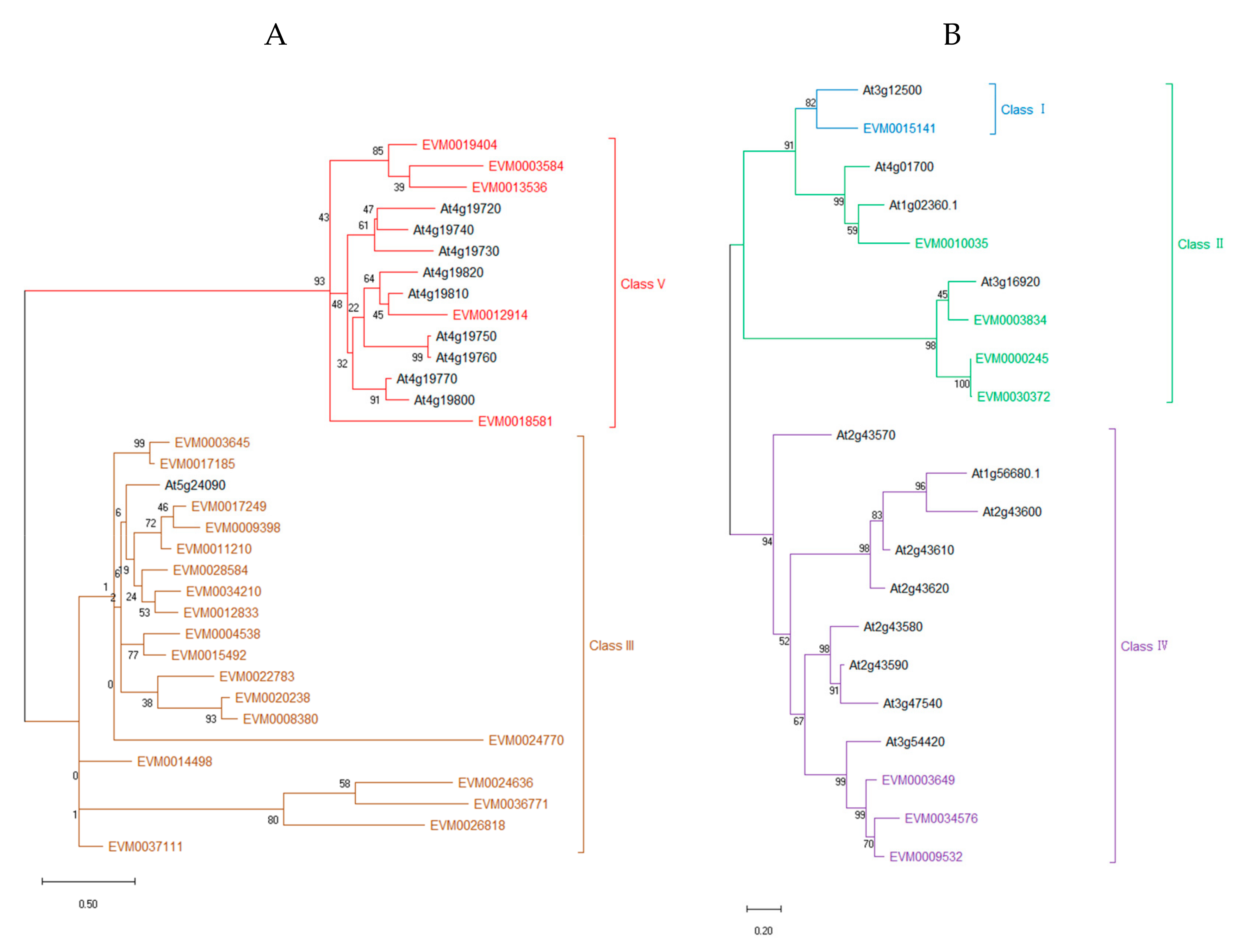 Genes 10 00472 g002 Genes 10 00472 g002