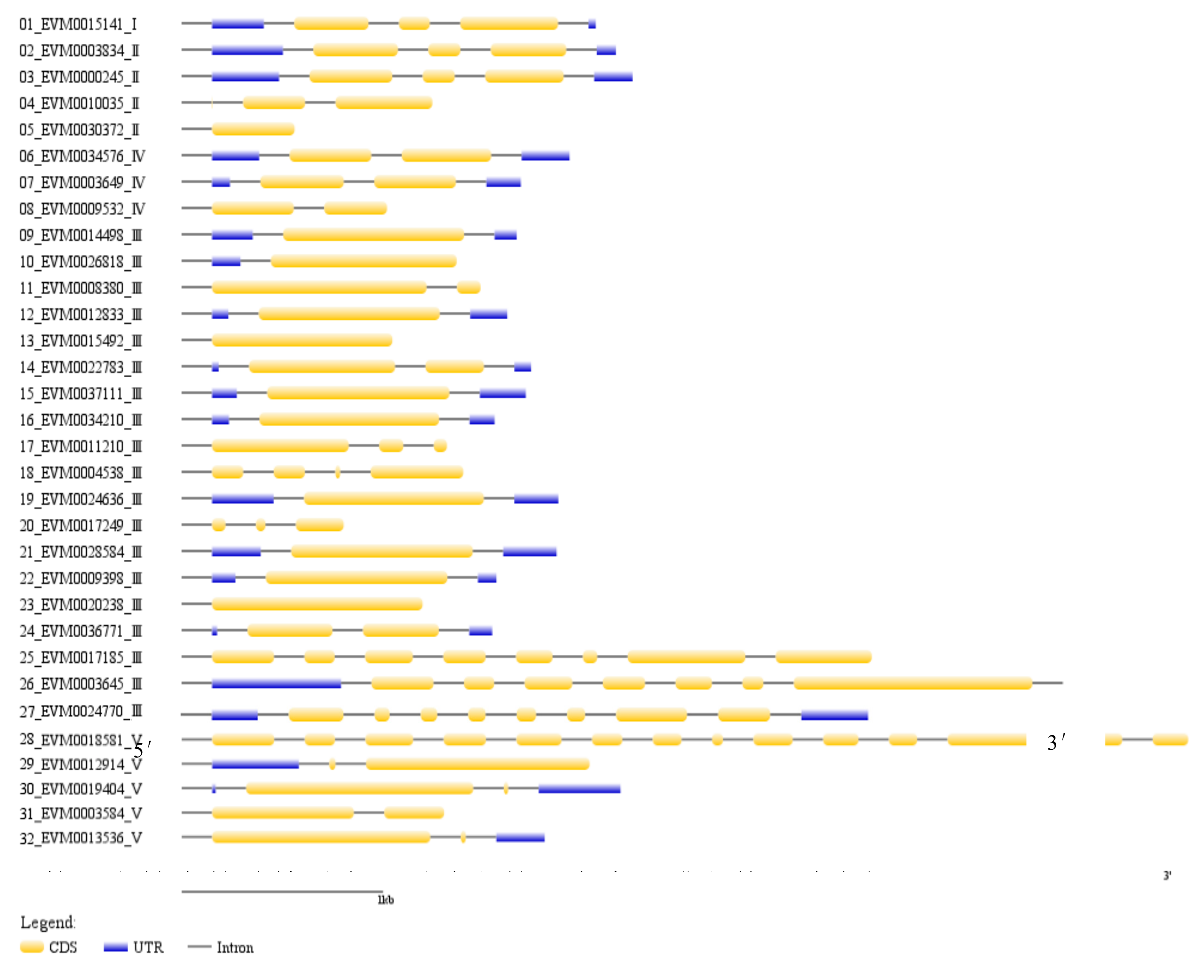 Genes 10 00472 g005 Genes 10 00472 g005