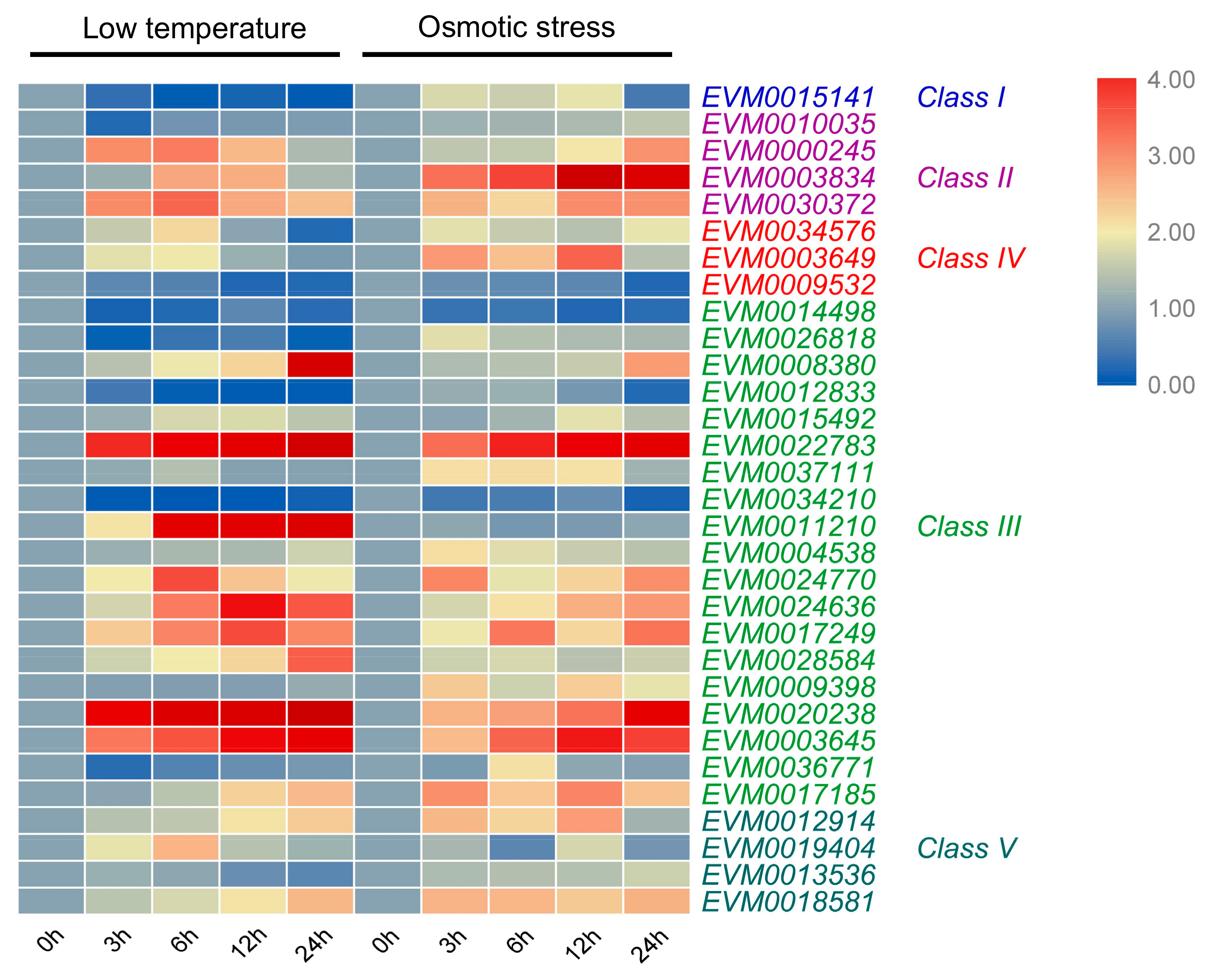 Genes 10 00472 g008 Genes 10 00472 g008