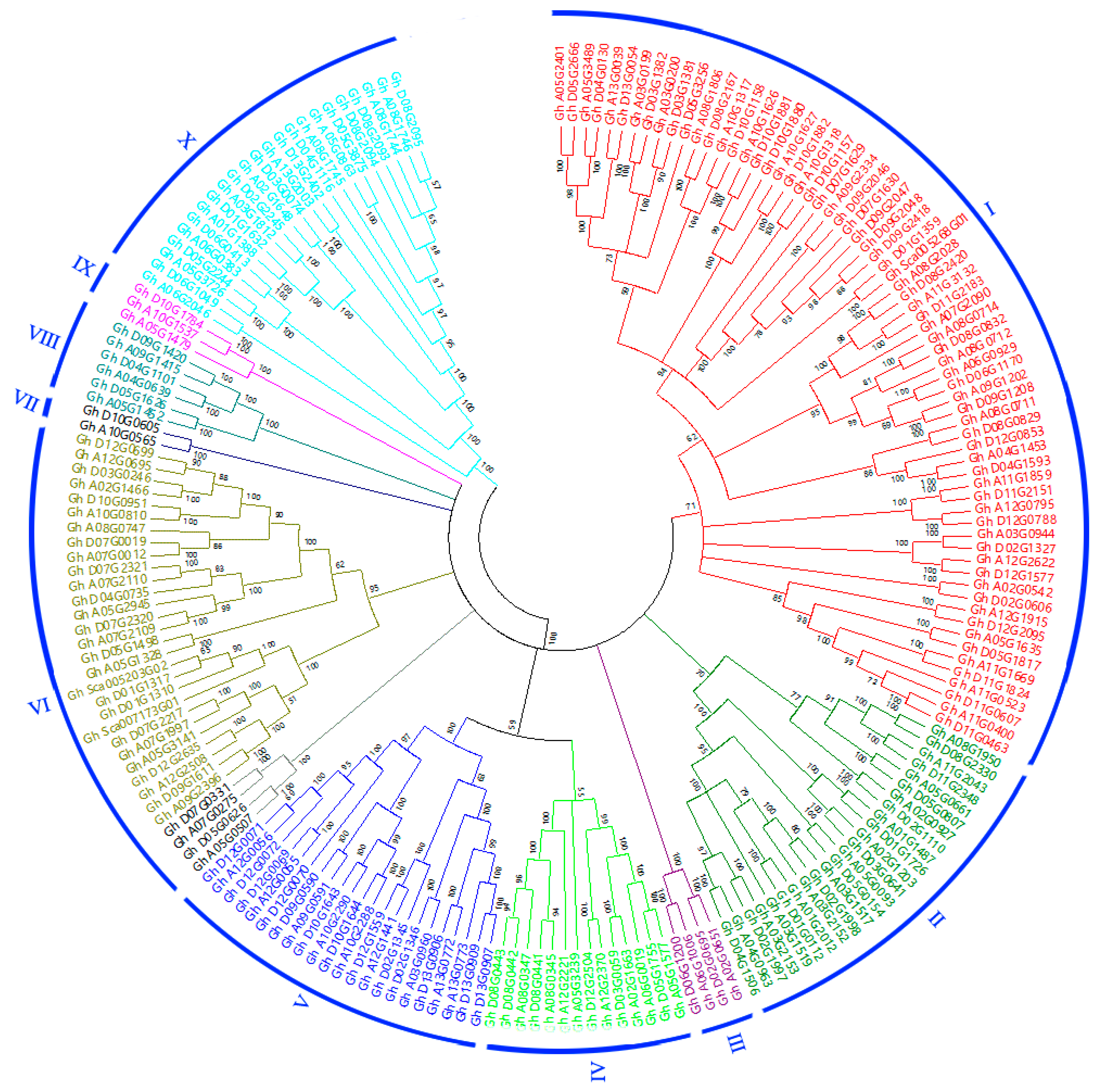 Genes 10 00473 g001 Genes 10 00473 g001