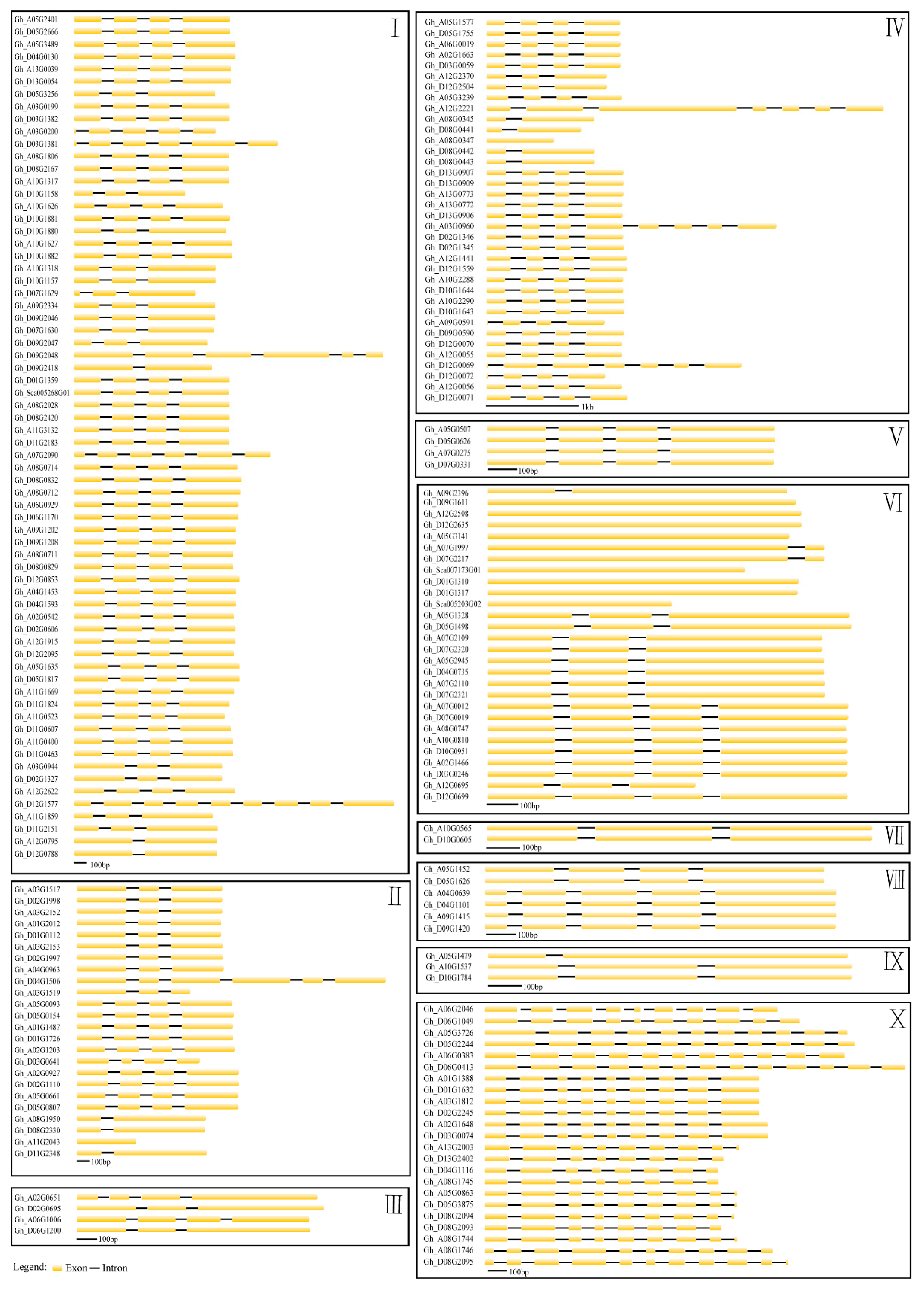 Genes 10 00473 g002 Genes 10 00473 g002