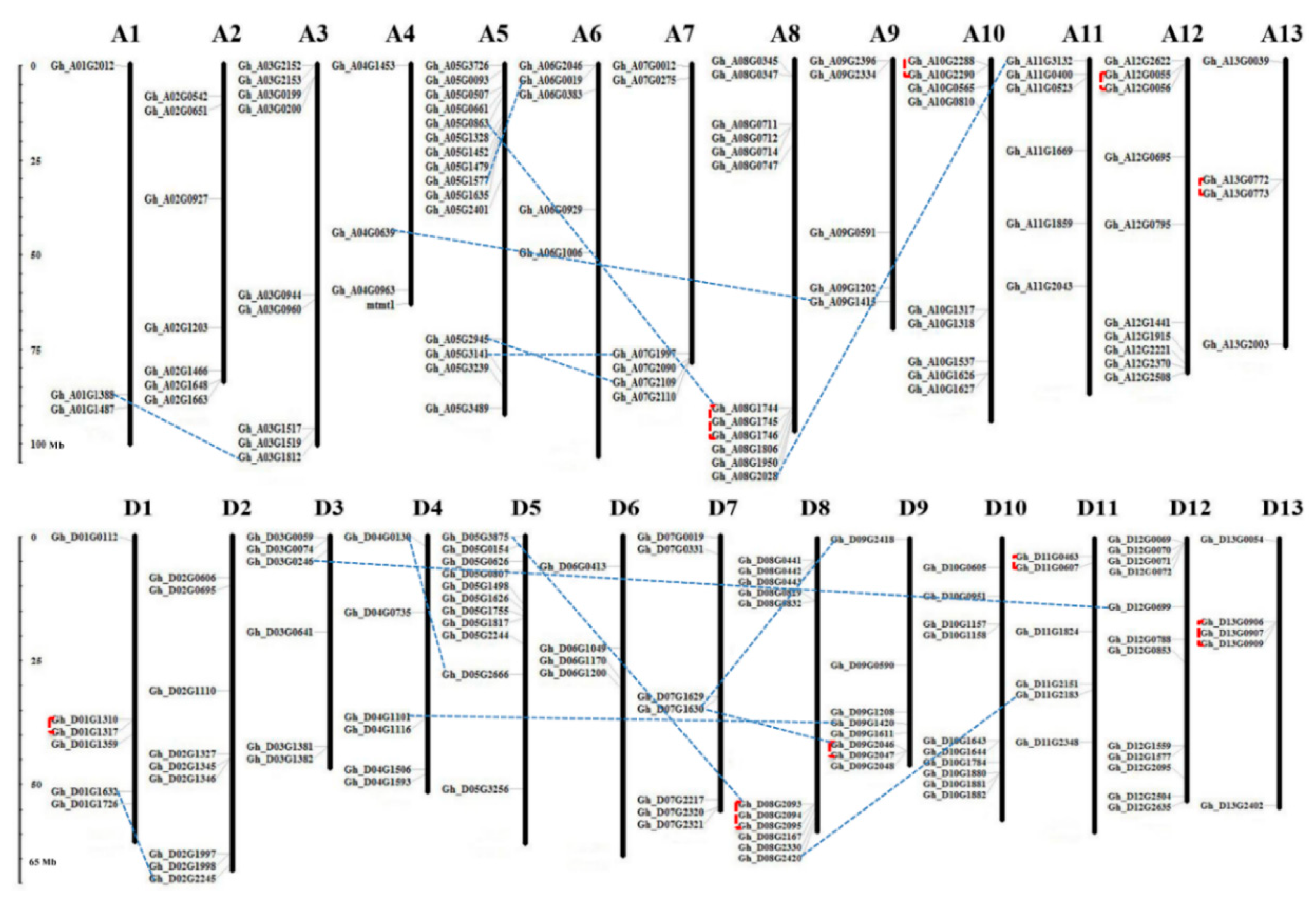 Genes 10 00473 g003 Genes 10 00473 g003